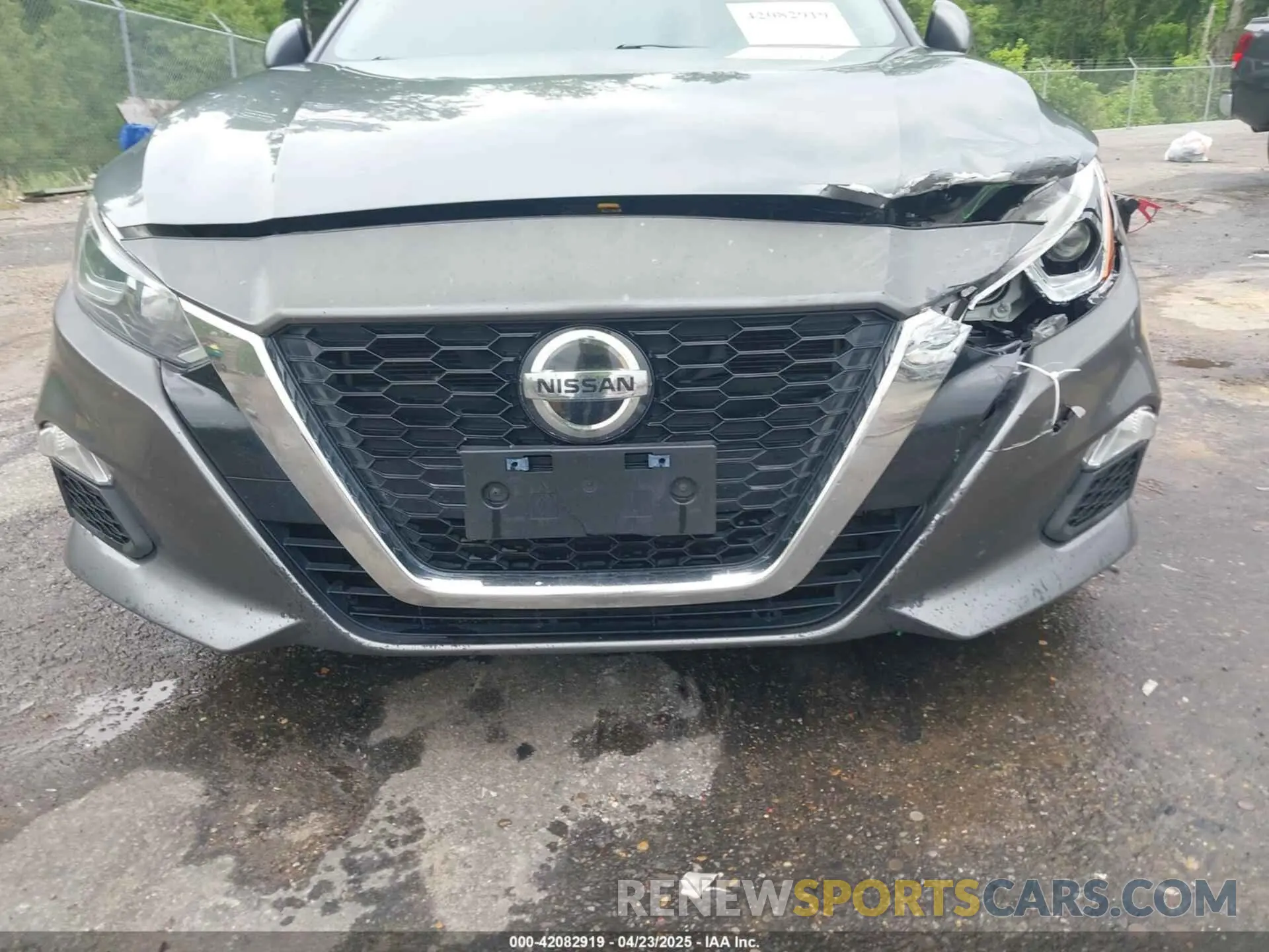 19 Photograph of a damaged car 1N4BL4BV0KC249440 NISSAN ALTIMA 2019