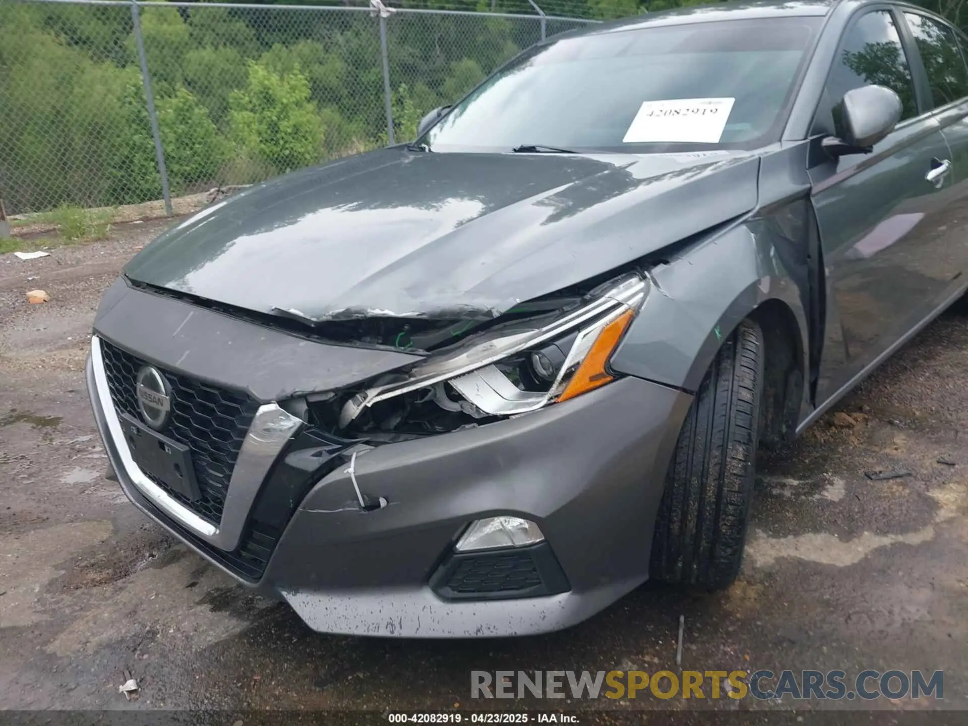 6 Photograph of a damaged car 1N4BL4BV0KC249440 NISSAN ALTIMA 2019