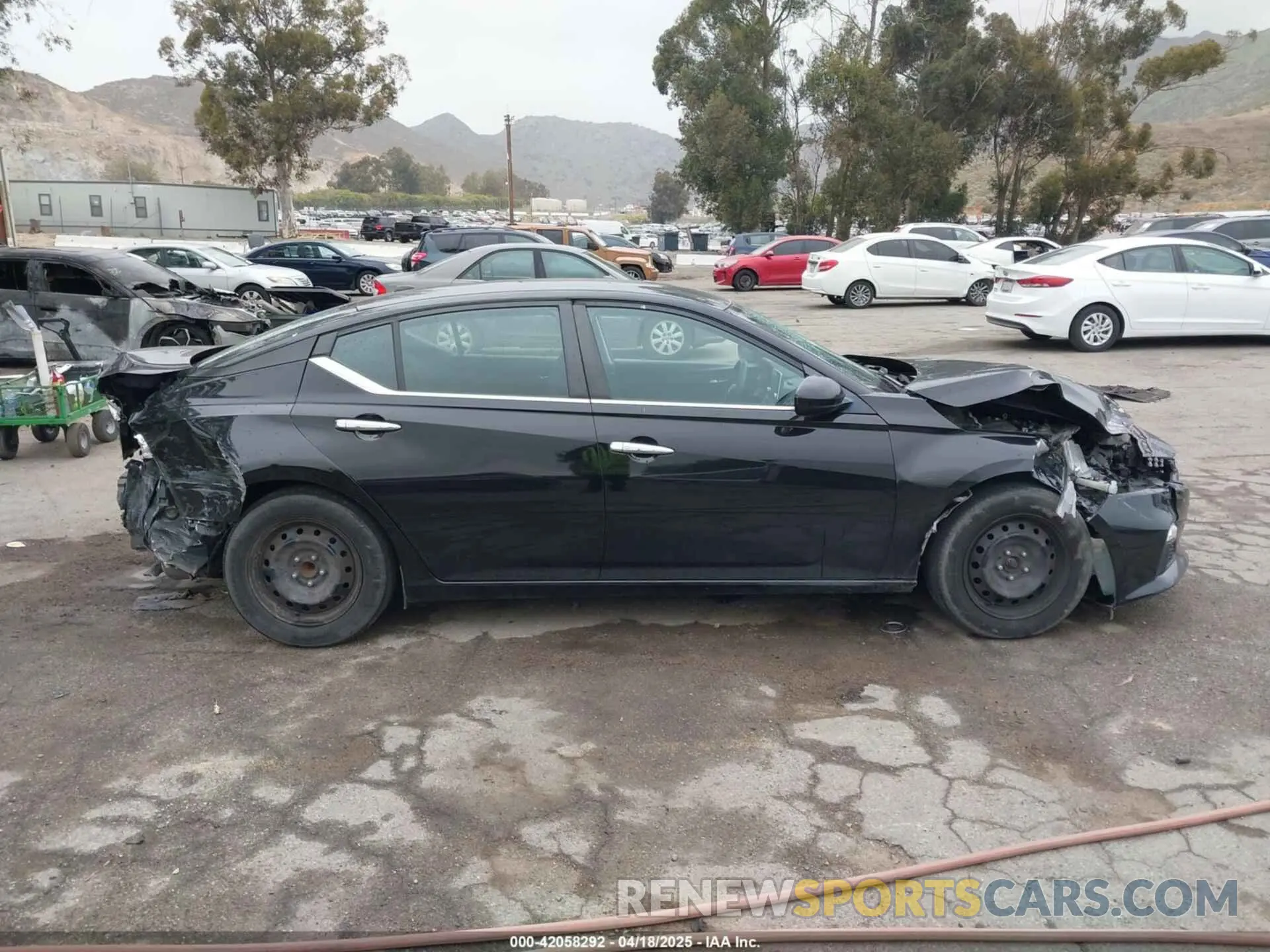12 Photograph of a damaged car 1N4BL4BV2KN317158 NISSAN ALTIMA 2019