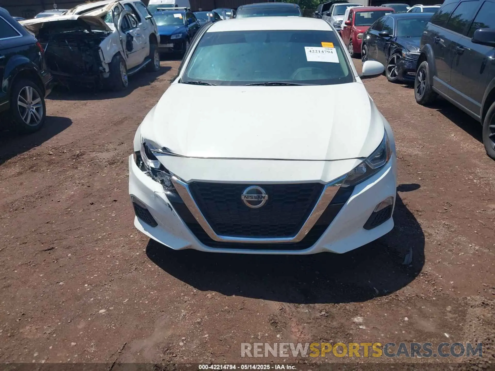 12 Photograph of a damaged car 1N4BL4BV4KN310969 NISSAN ALTIMA 2019