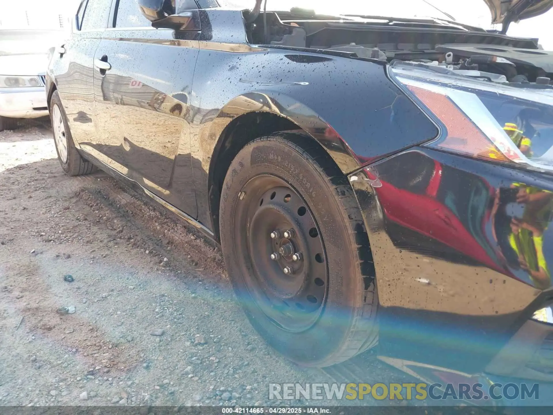 6 Photograph of a damaged car 1N4BL4BV5KC243911 NISSAN ALTIMA 2019
