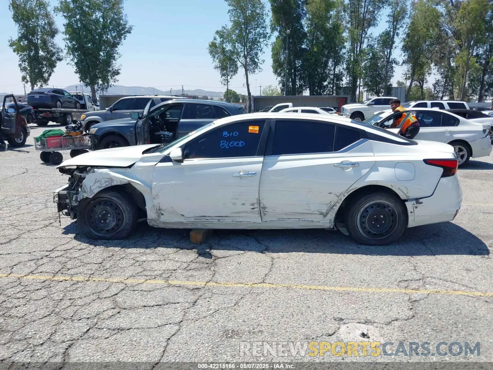 14 Photograph of a damaged car 1N4BL4BV8KC122421 NISSAN ALTIMA 2019