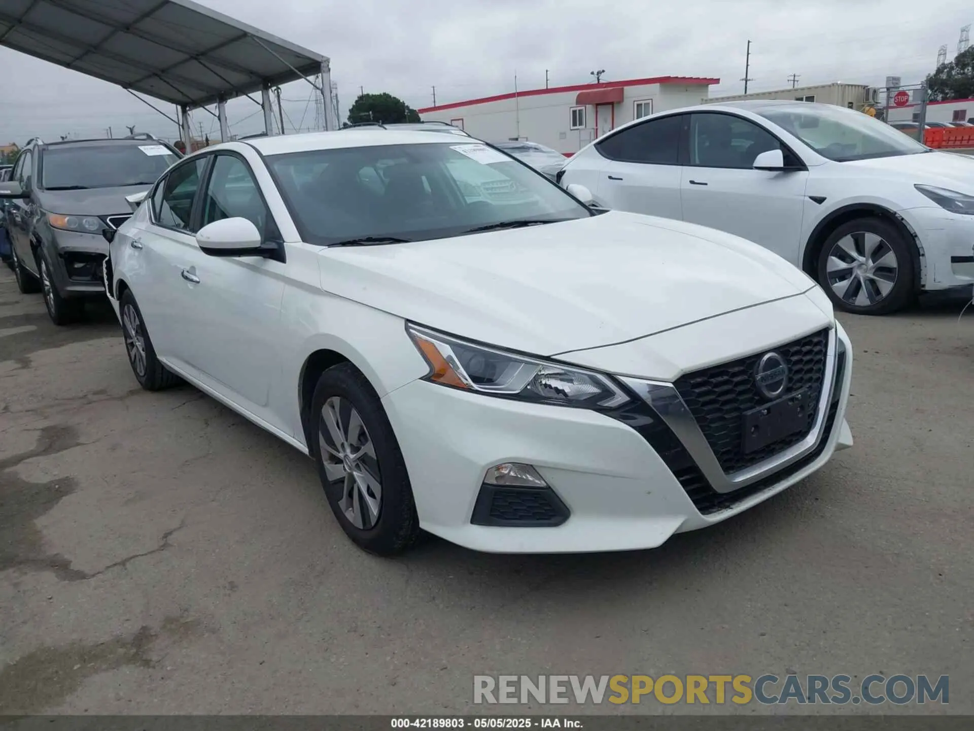 1 Photograph of a damaged car 1N4BL4BVXKC225422 NISSAN ALTIMA 2019