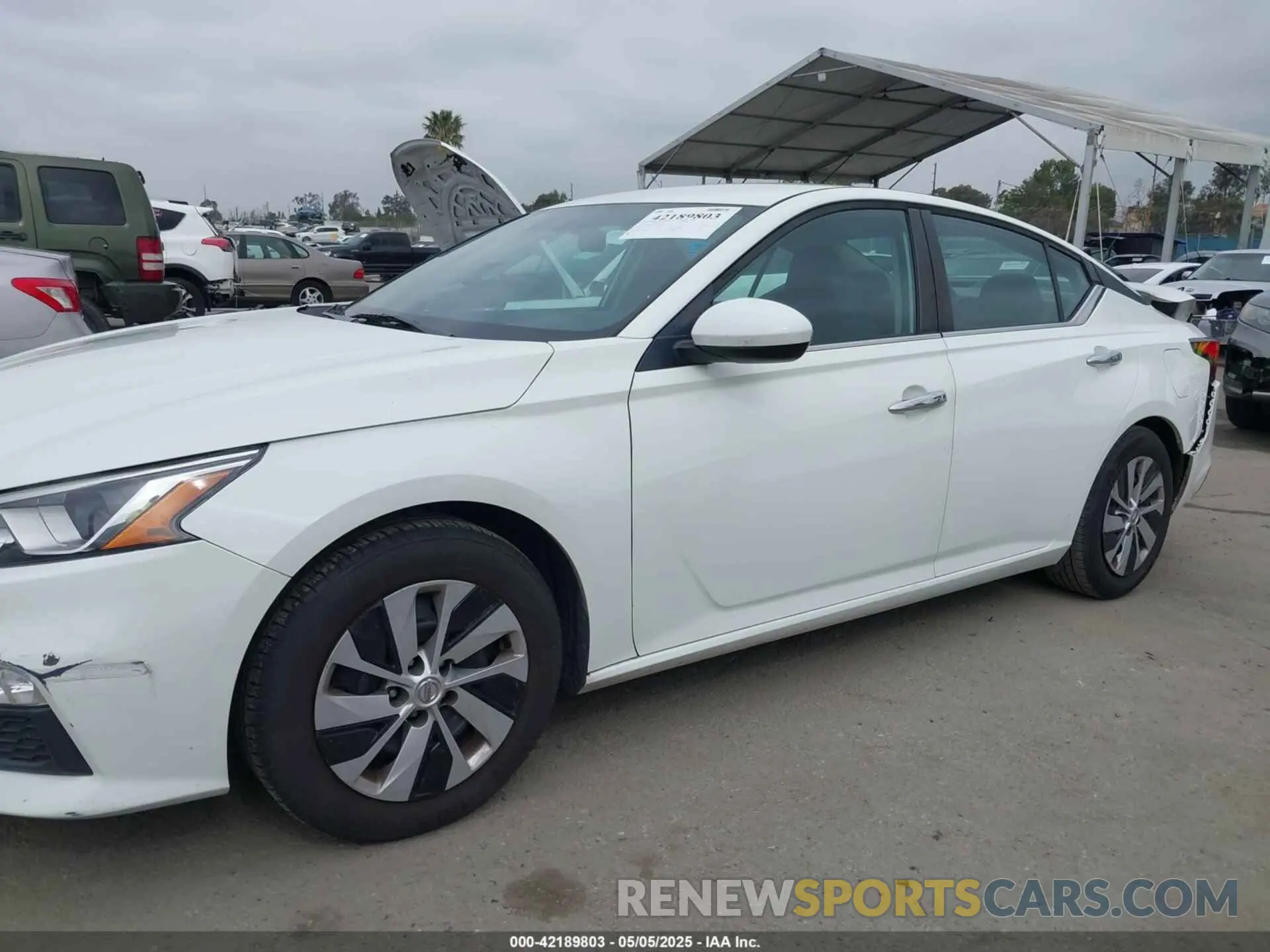 14 Photograph of a damaged car 1N4BL4BVXKC225422 NISSAN ALTIMA 2019