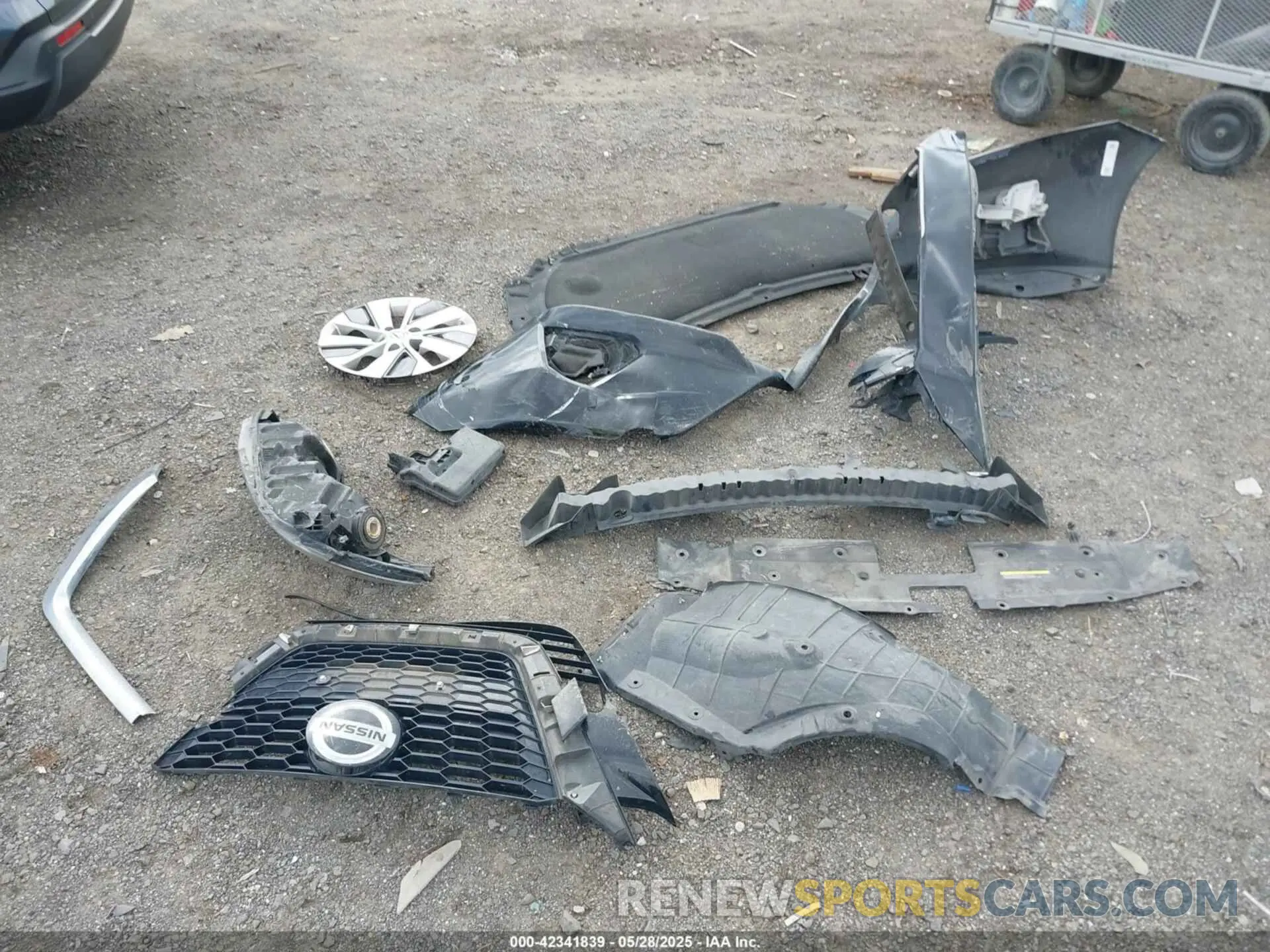 12 Photograph of a damaged car 1N4BL4BVXKC231544 NISSAN ALTIMA 2019