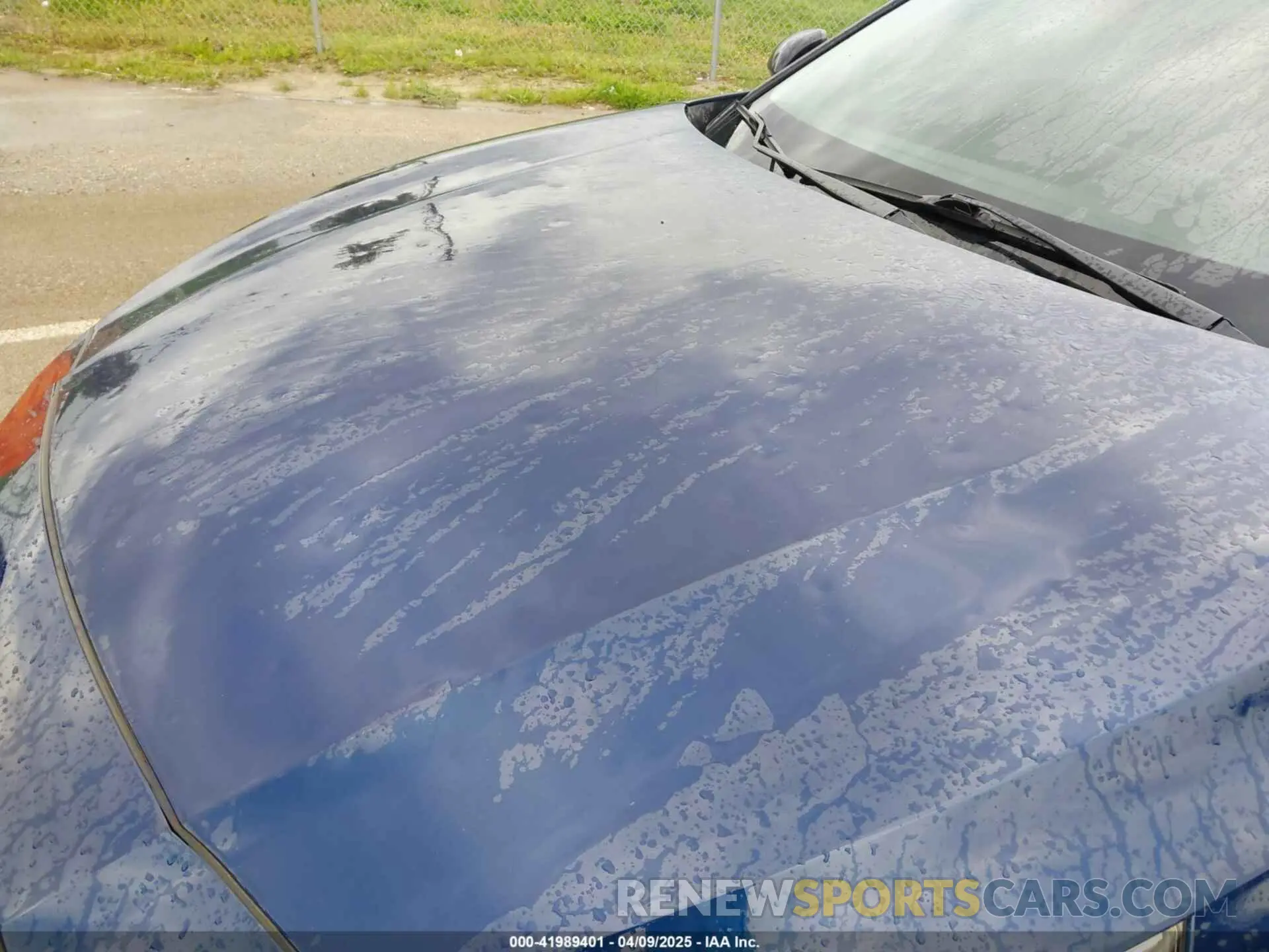 6 Photograph of a damaged car 1N4BL4CV0KC179789 NISSAN ALTIMA 2019