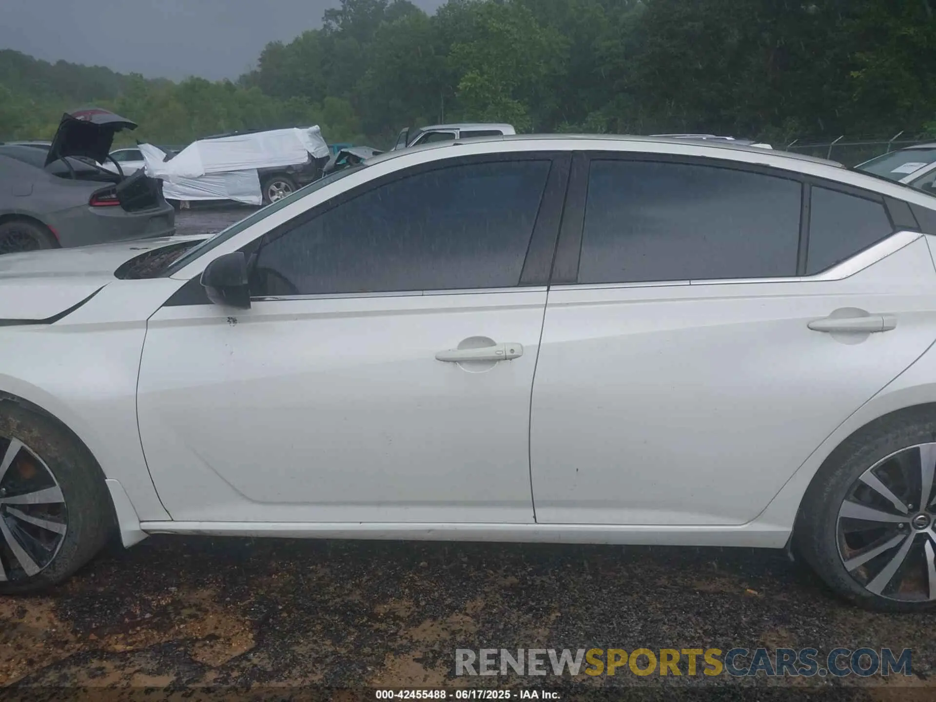 14 Photograph of a damaged car 1N4BL4CV1KC187061 NISSAN ALTIMA 2019