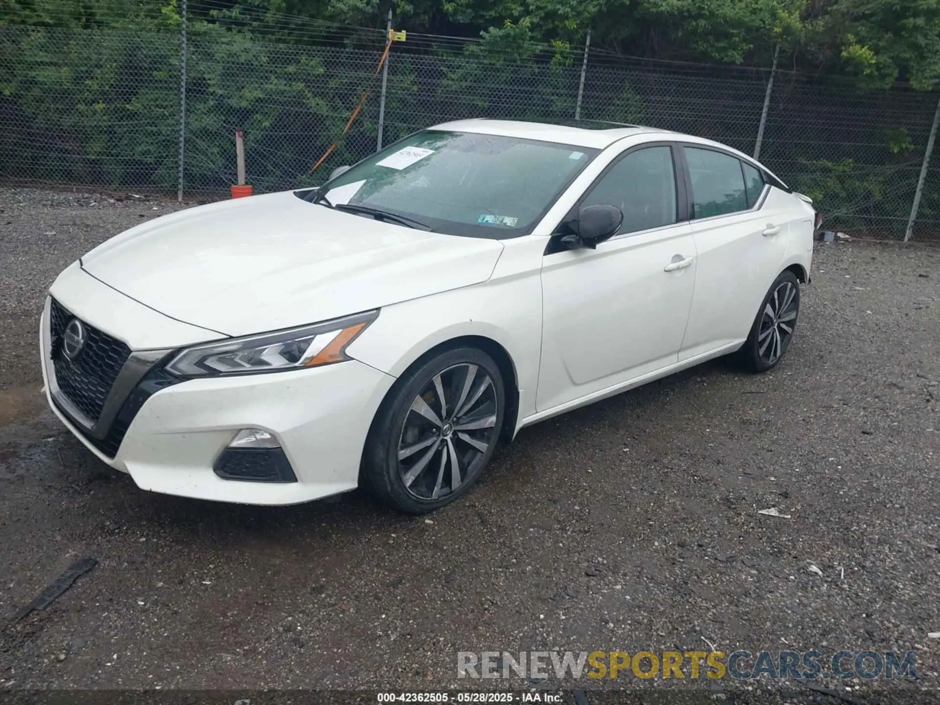 2 Photograph of a damaged car 1N4BL4CV3KC125984 NISSAN ALTIMA 2019
