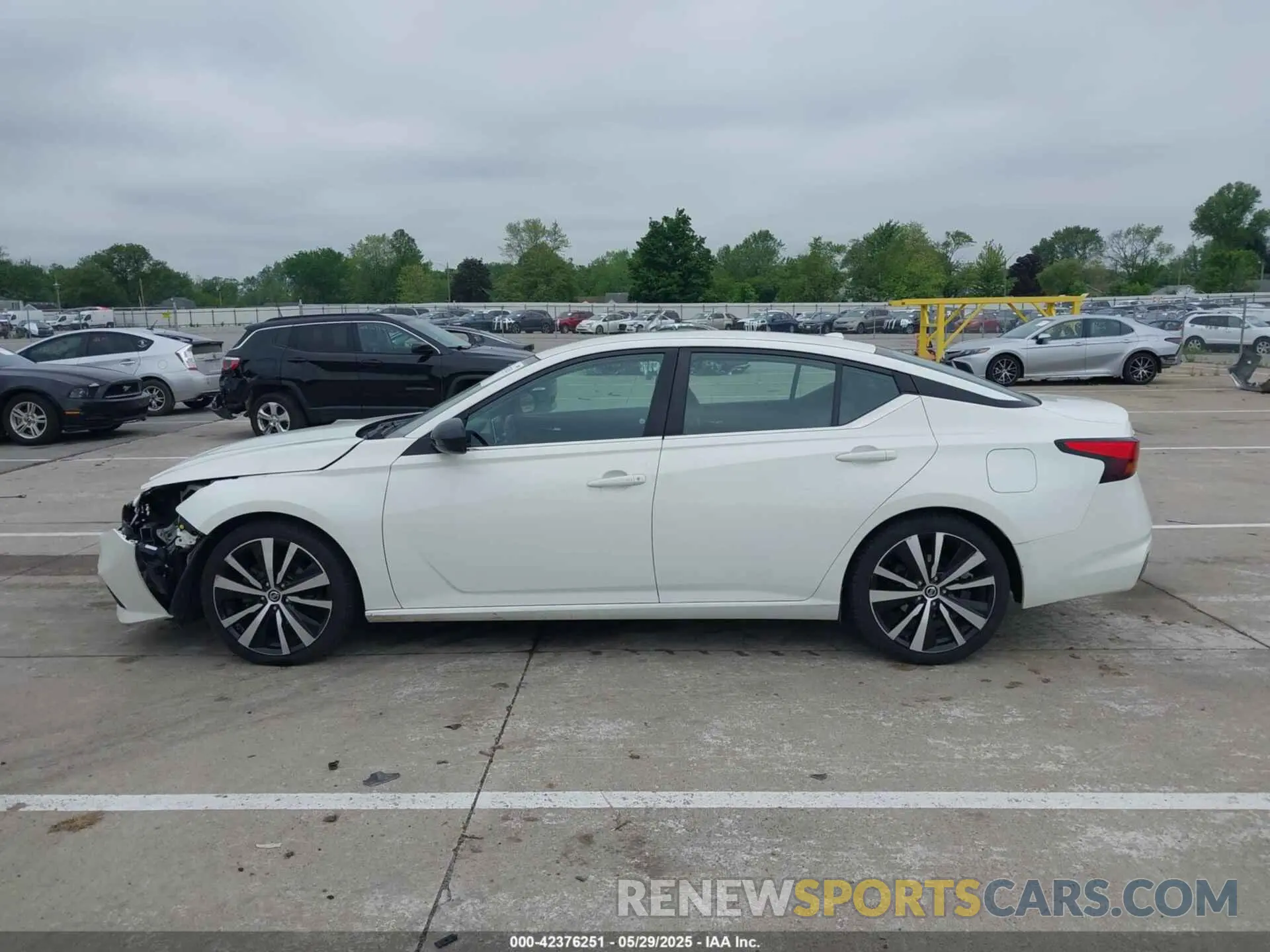 14 Photograph of a damaged car 1N4BL4CV5KC157741 NISSAN ALTIMA 2019