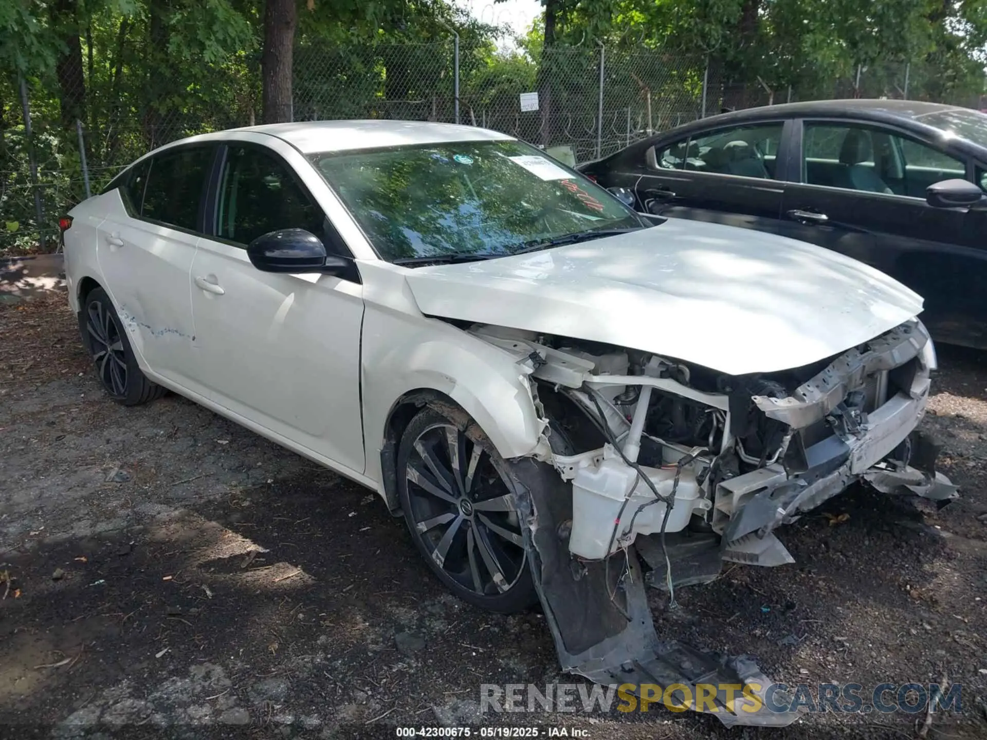 1 Photograph of a damaged car 1N4BL4CV6KC167825 NISSAN ALTIMA 2019