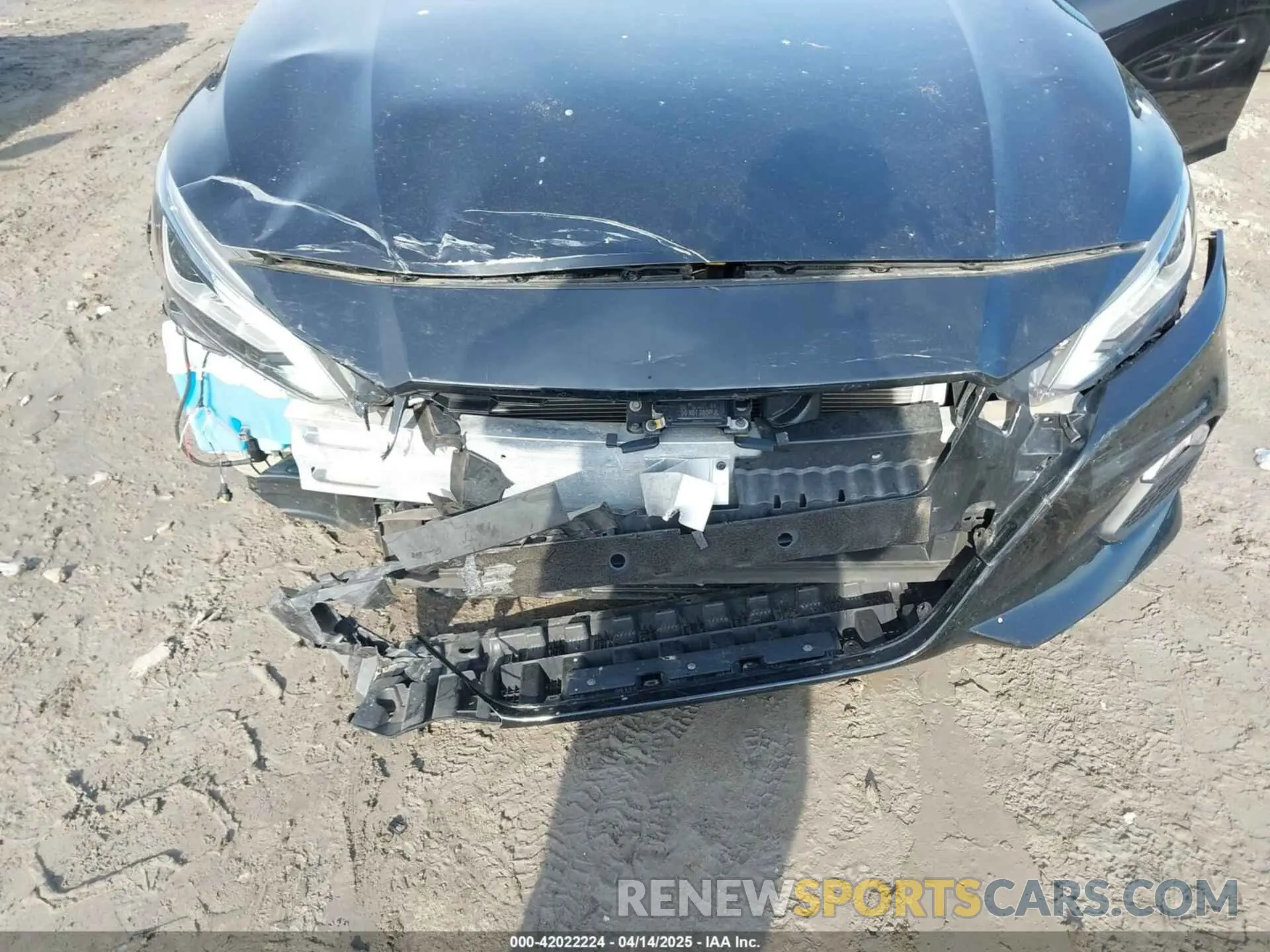 6 Photograph of a damaged car 1N4BL4CW8KN301618 NISSAN ALTIMA 2019