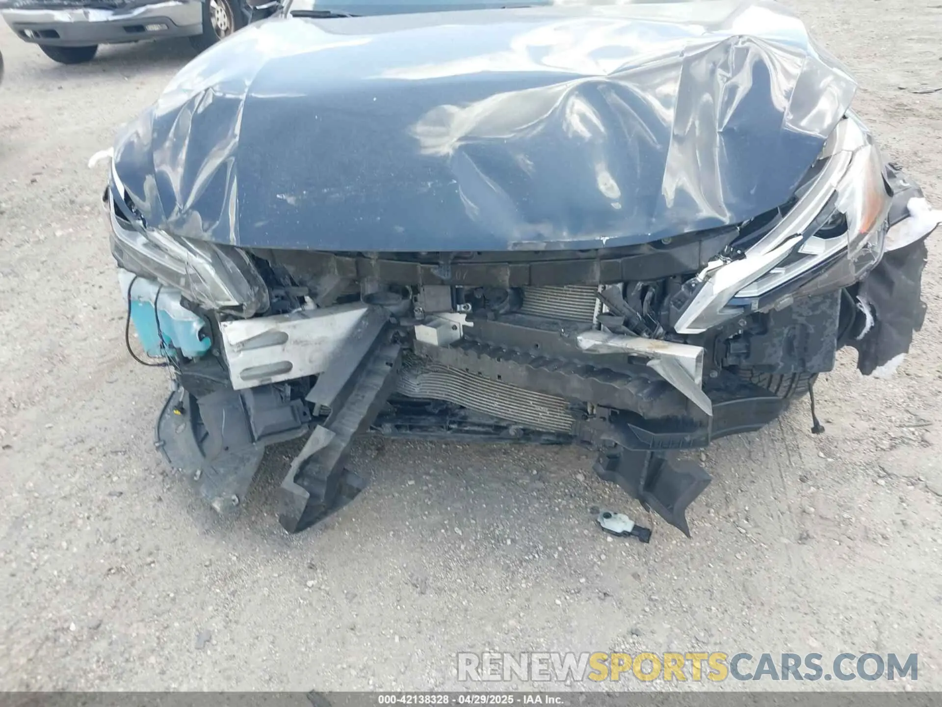 6 Photograph of a damaged car 1N4BL4DV2KC128311 NISSAN ALTIMA 2019