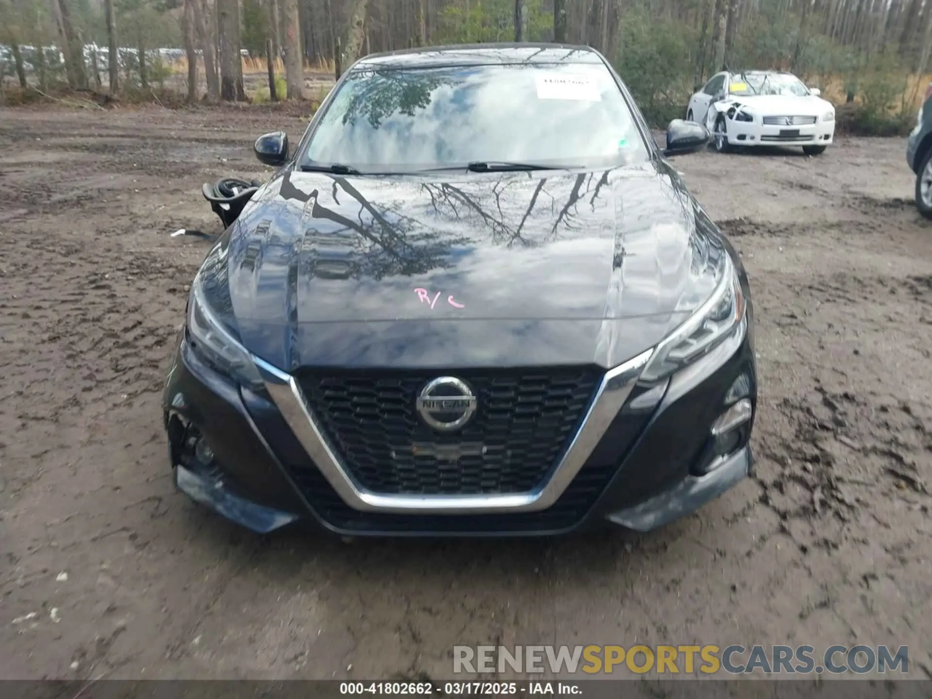 12 Photograph of a damaged car 1N4BL4DV2KC220096 NISSAN ALTIMA 2019