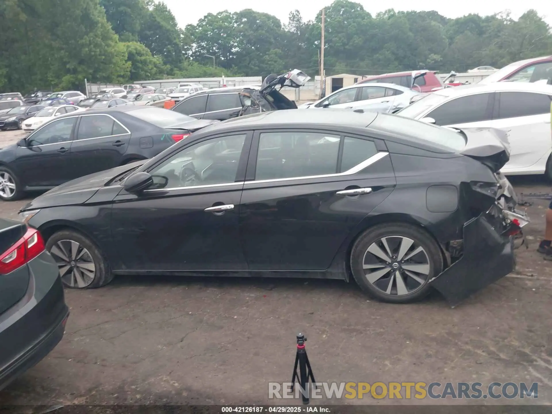 14 Photograph of a damaged car 1N4BL4DV4KC122929 NISSAN ALTIMA 2019