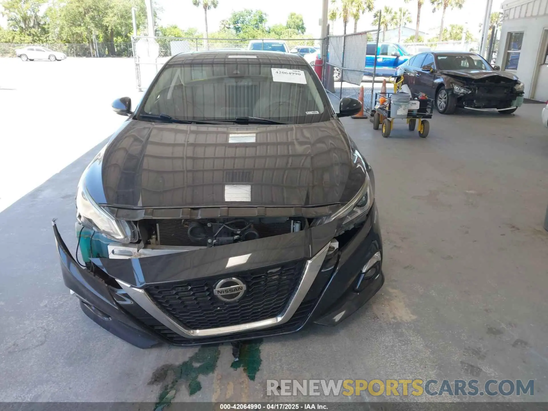 11 Photograph of a damaged car 1N4BL4DV6KC117294 NISSAN ALTIMA 2019