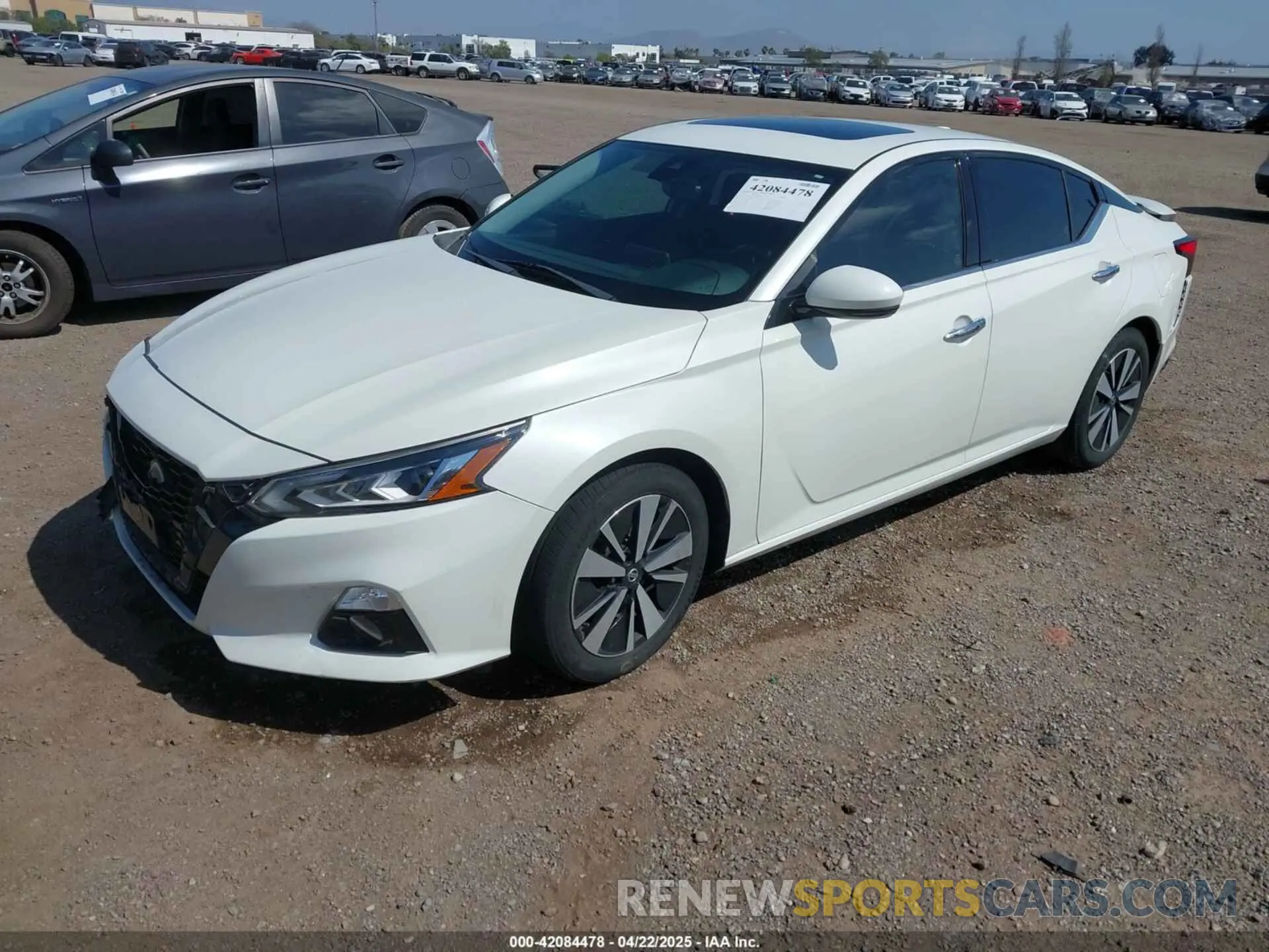 2 Photograph of a damaged car 1N4BL4DV8KC177433 NISSAN ALTIMA 2019