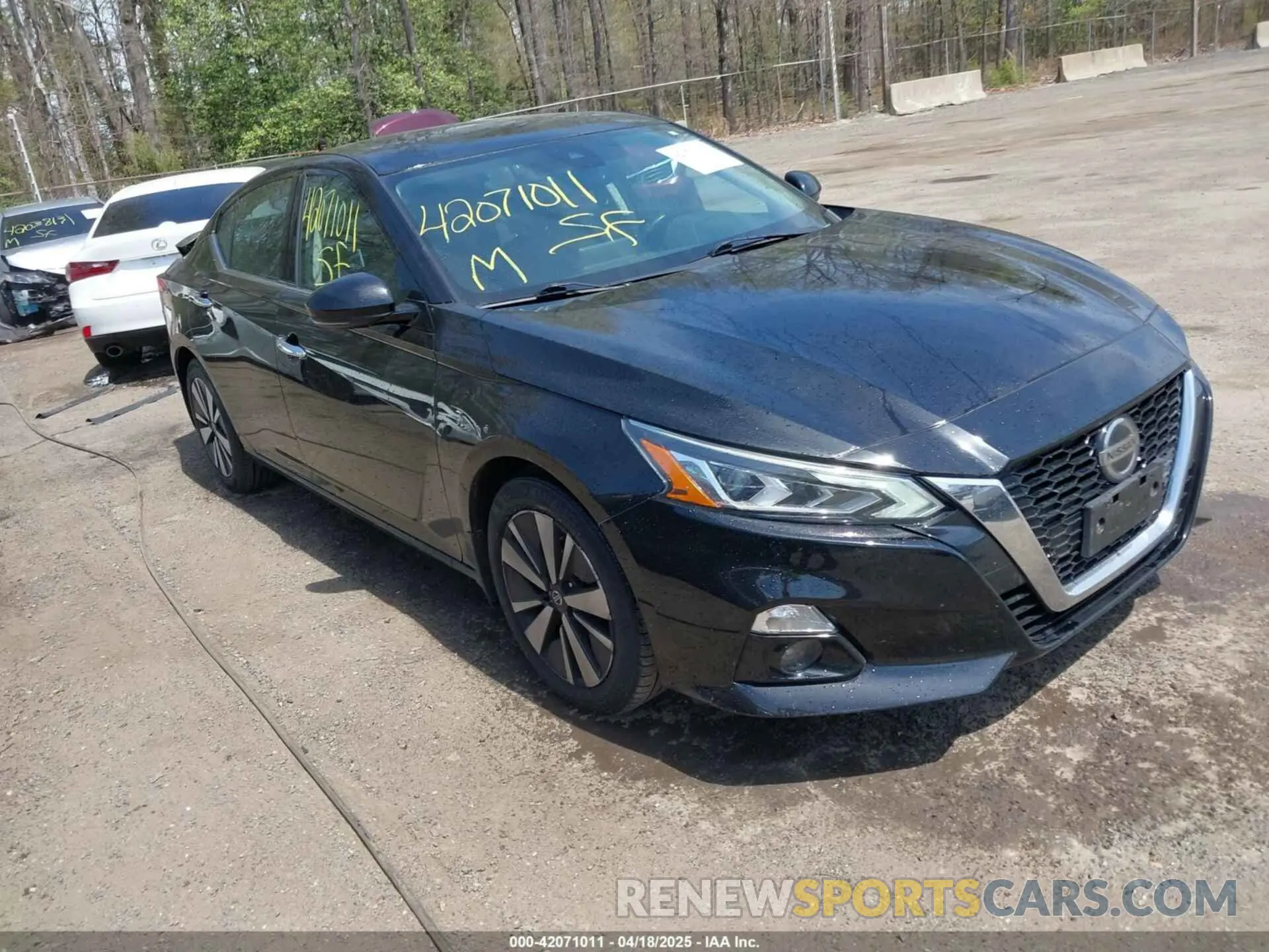 1 Photograph of a damaged car 1N4BL4DV9KC148460 NISSAN ALTIMA 2019