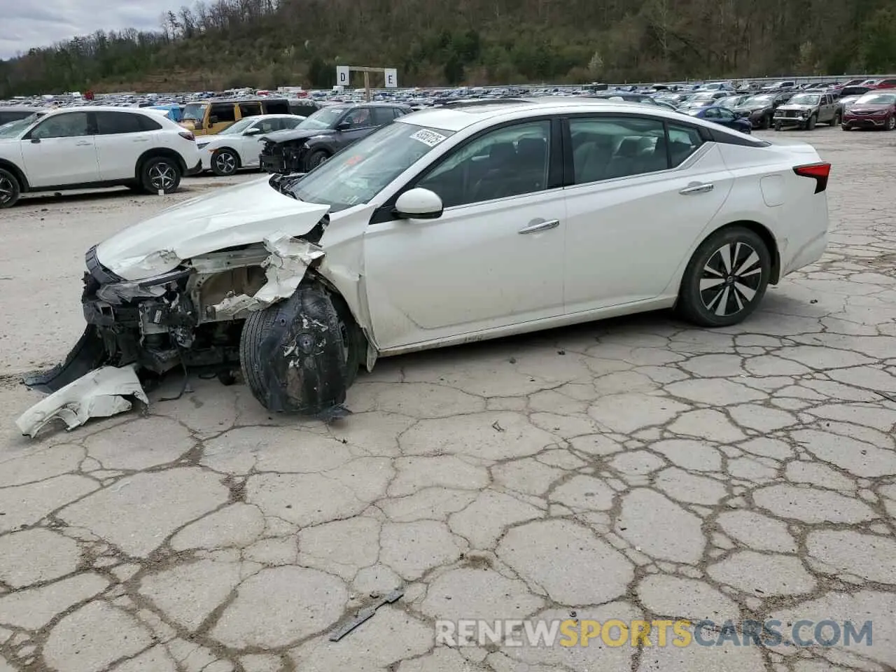 1 Photograph of a damaged car 1N4BL4DW7KC194863 NISSAN ALTIMA 2019