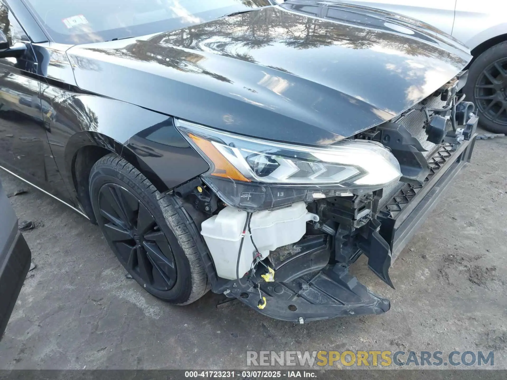 19 Photograph of a damaged car 1N4BL4EV1KC113863 NISSAN ALTIMA 2019