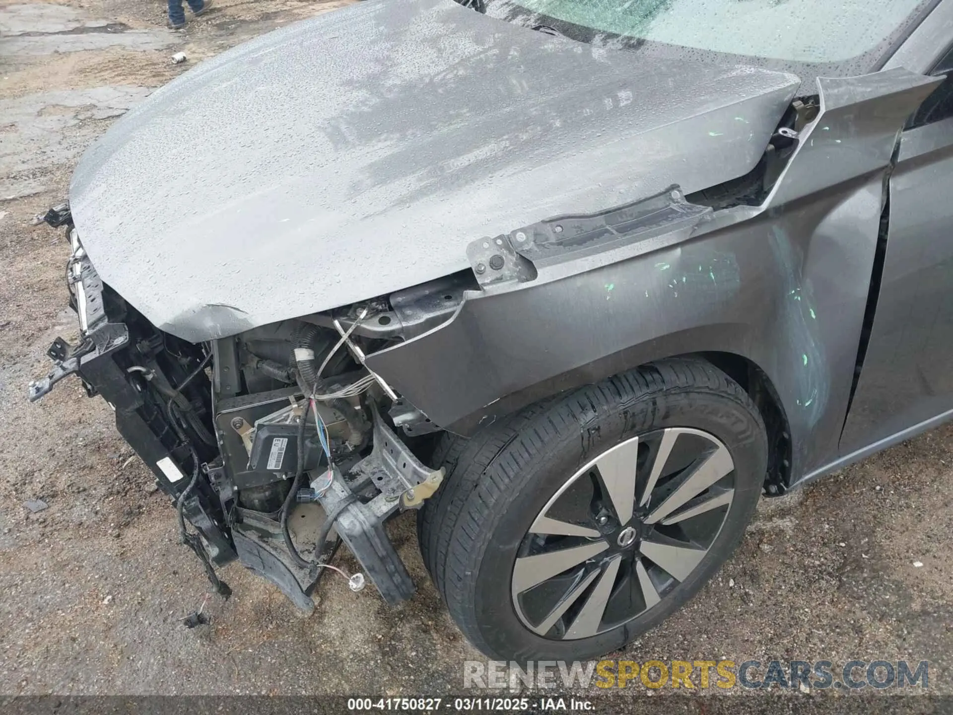 6 Photograph of a damaged car 1N4BL4EV5KC100548 NISSAN ALTIMA 2019