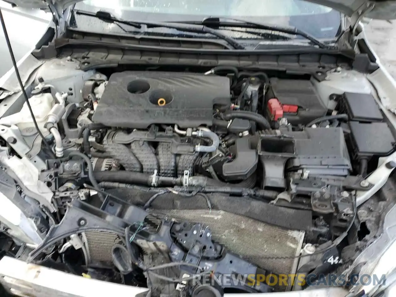 11 Photograph of a damaged car 1N4BL4EV6KC184332 NISSAN ALTIMA 2019