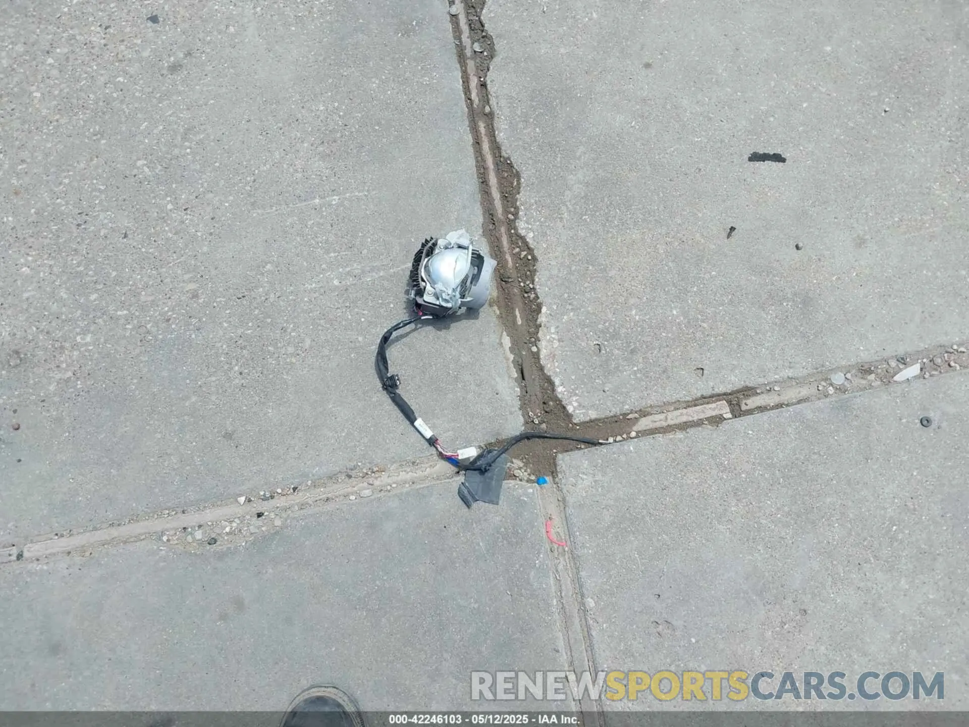 12 Photograph of a damaged car 1N4BL4EV9KC224015 NISSAN ALTIMA 2019
