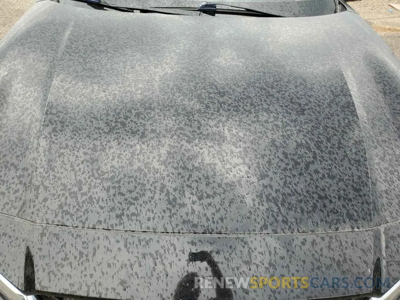 11 Photograph of a damaged car 1N4BL4FV2KC113739 NISSAN ALTIMA 2019