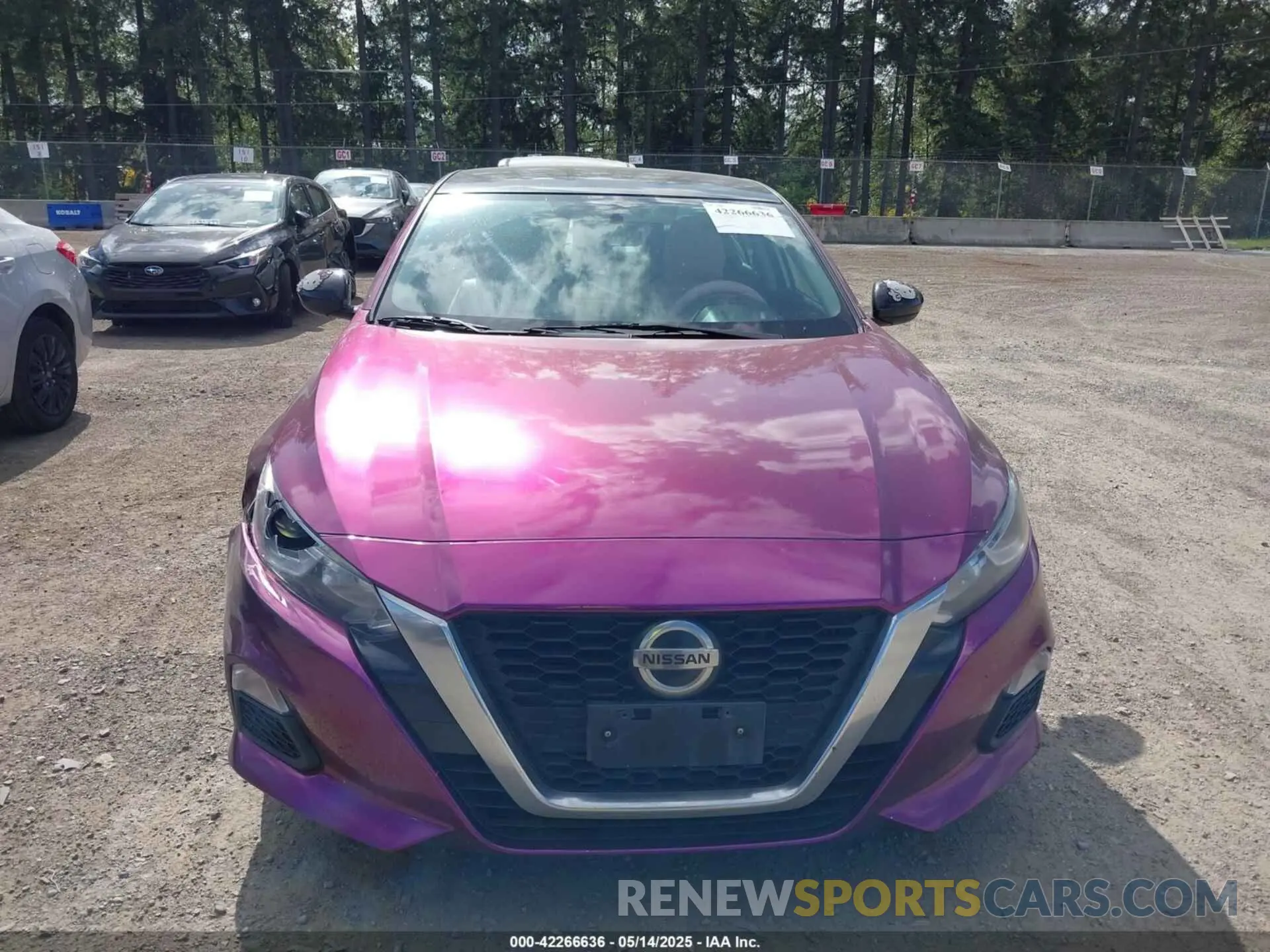 12 Photograph of a damaged car 1N4BL4BV0LC135231 NISSAN ALTIMA 2020