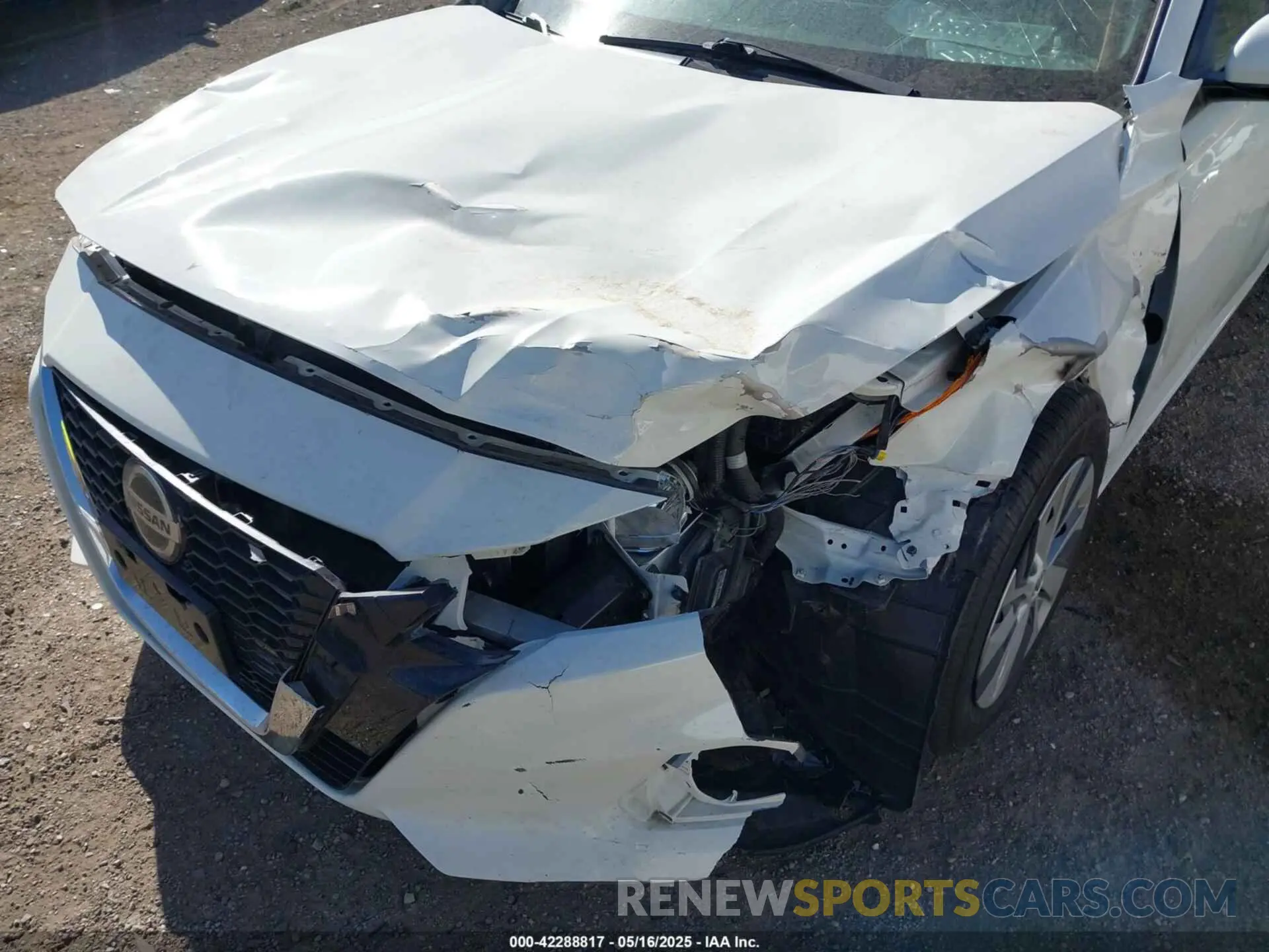 6 Photograph of a damaged car 1N4BL4BV5LC255512 NISSAN ALTIMA 2020