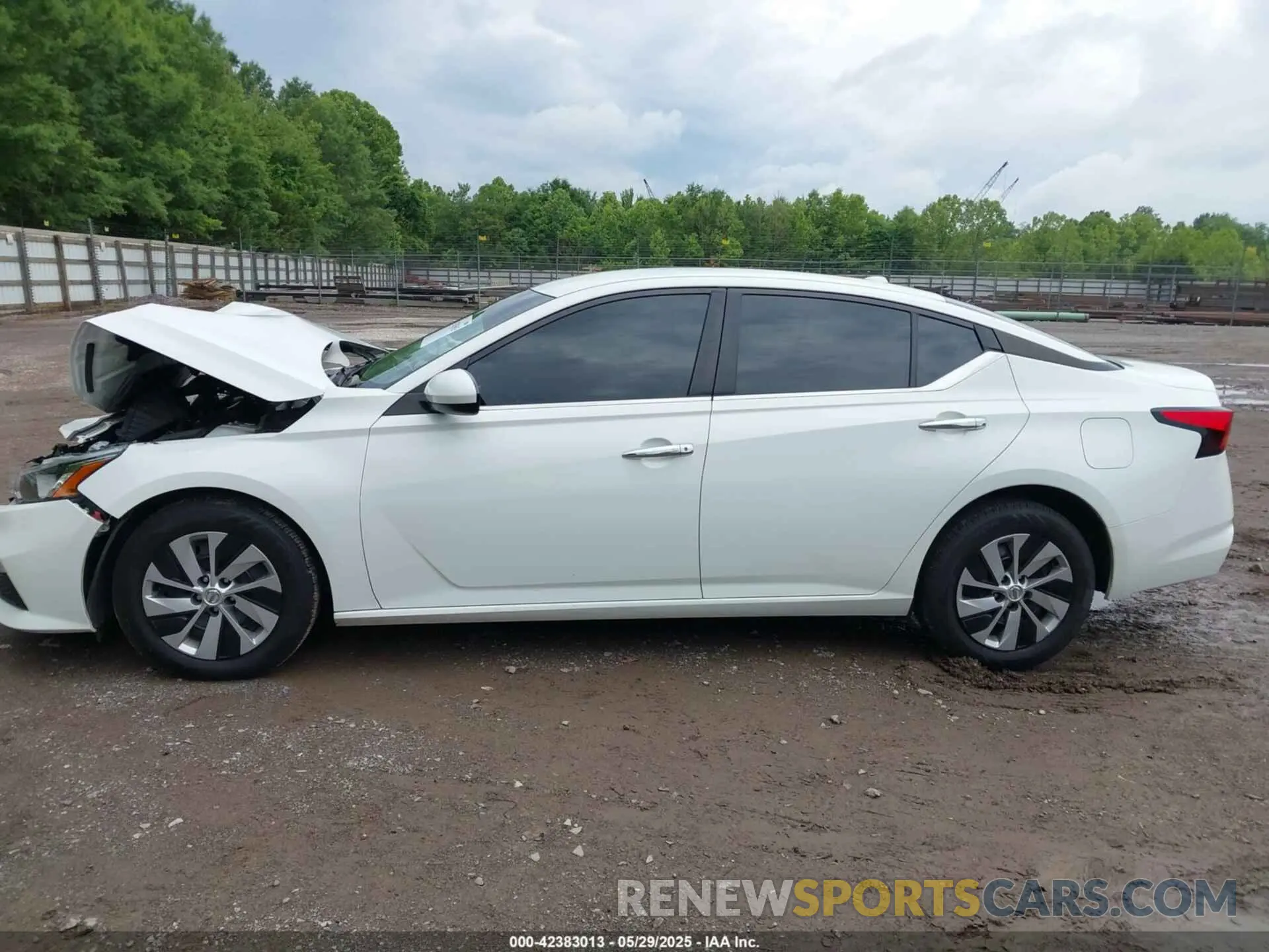 14 Photograph of a damaged car 1N4BL4BV6LC244891 NISSAN ALTIMA 2020