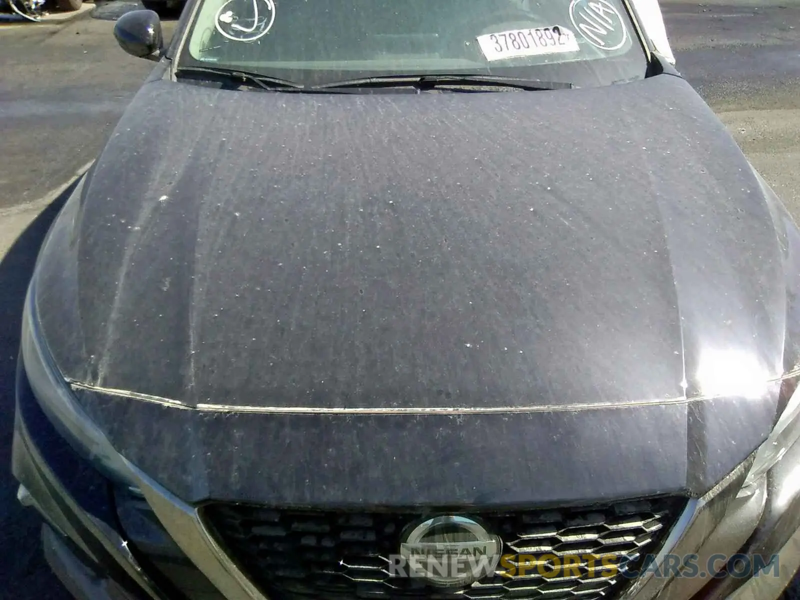 7 Photograph of a damaged car 1N4BL4CV2LC226760 NISSAN ALTIMA 2020