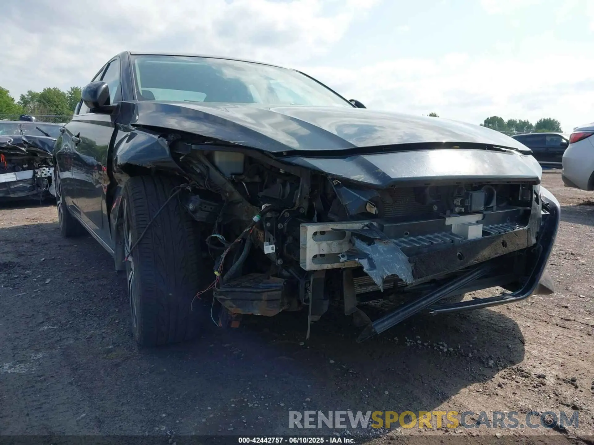 6 Photograph of a damaged car 1N4BL4CWXLC194875 NISSAN ALTIMA 2020