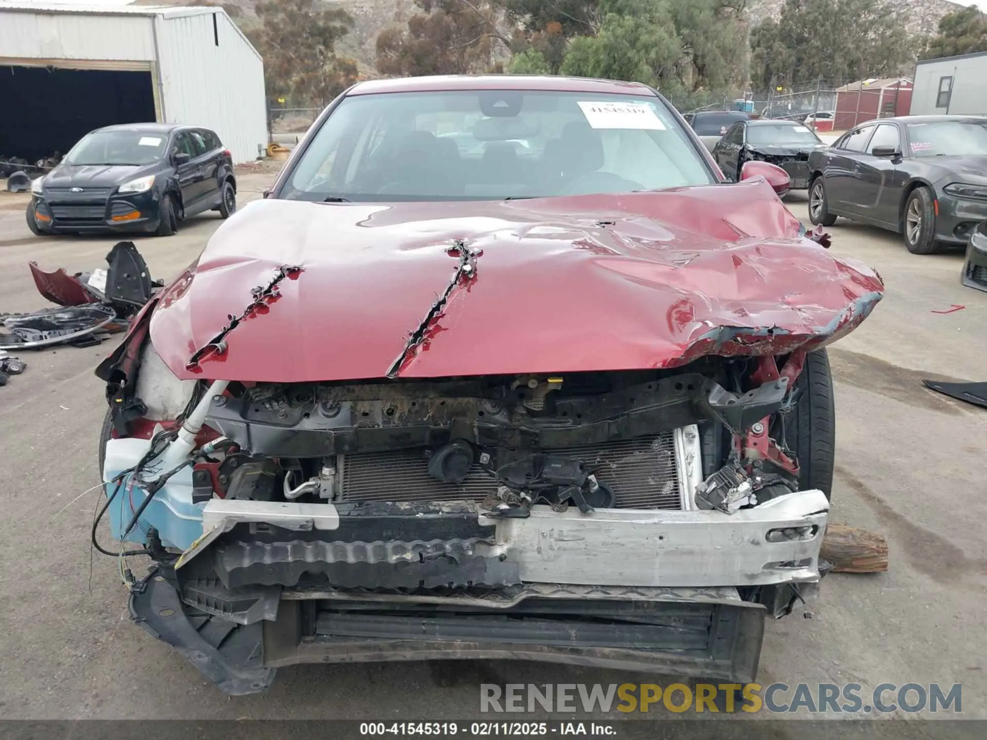 12 Photograph of a damaged car 1N4BL4DV5LC181375 NISSAN ALTIMA 2020