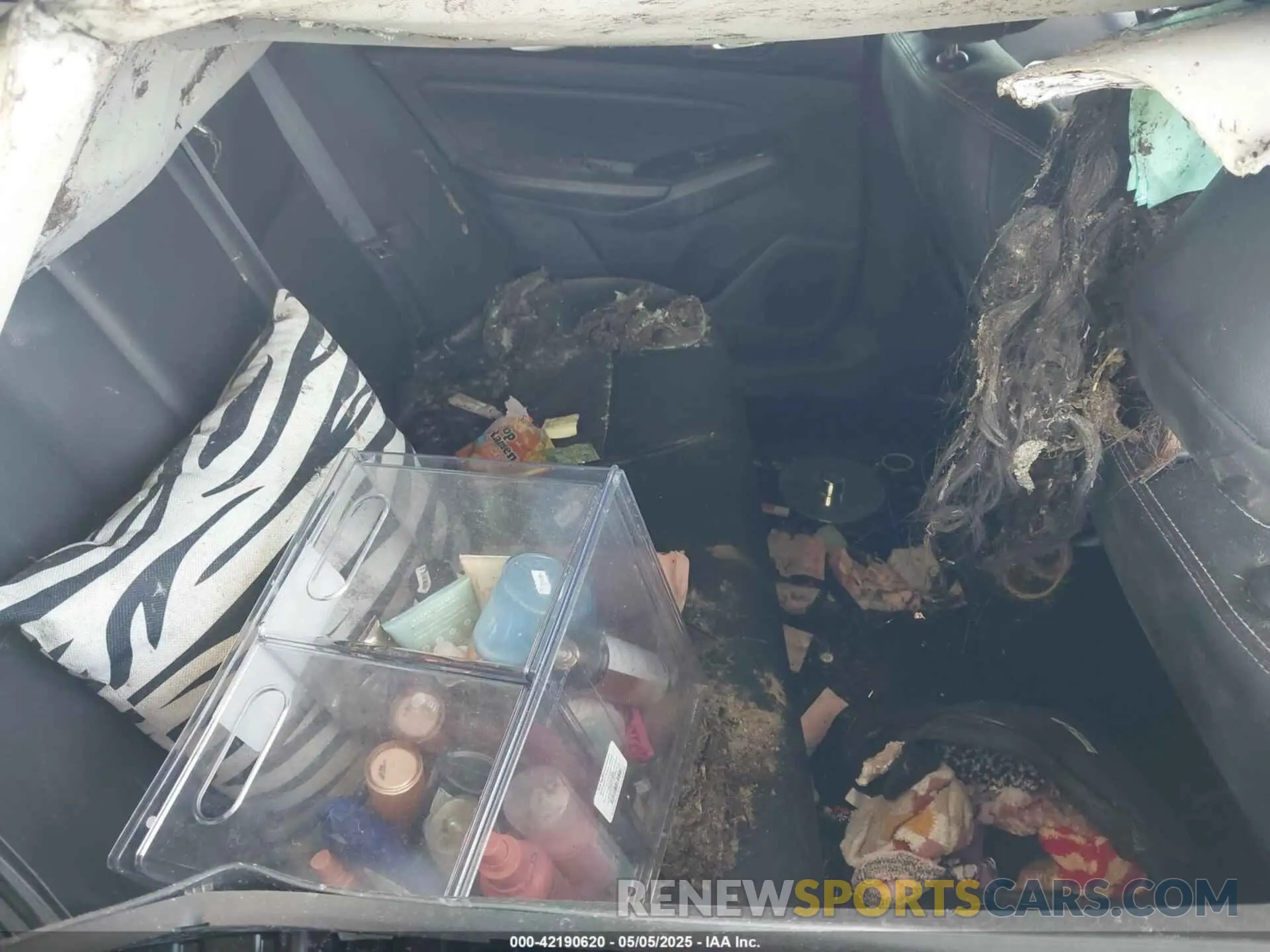 8 Photograph of a damaged car 1N4BL4EV7LC250842 NISSAN ALTIMA 2020