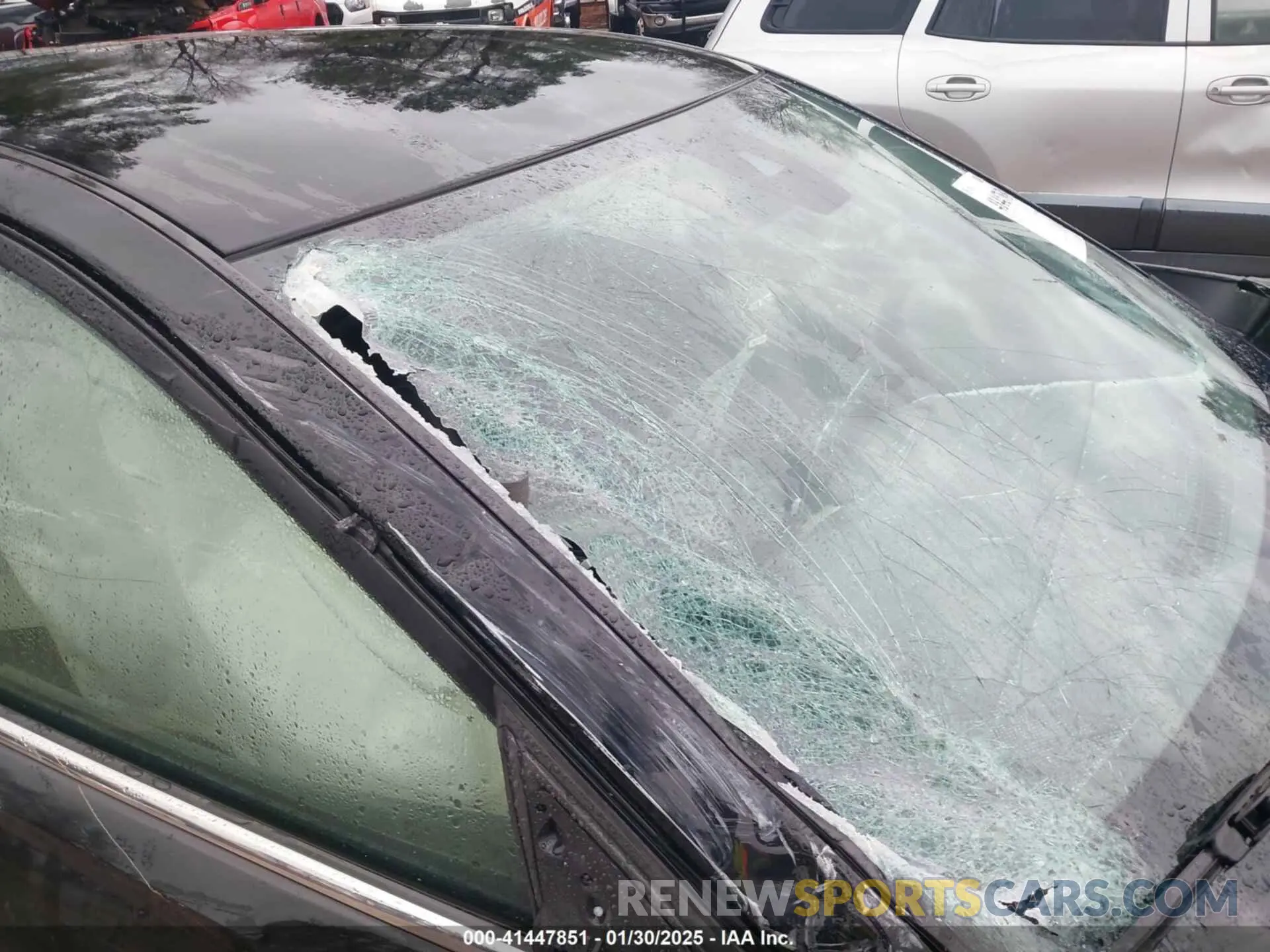 19 Photograph of a damaged car 1N4BL4DV0MN388455 NISSAN ALTIMA 2021