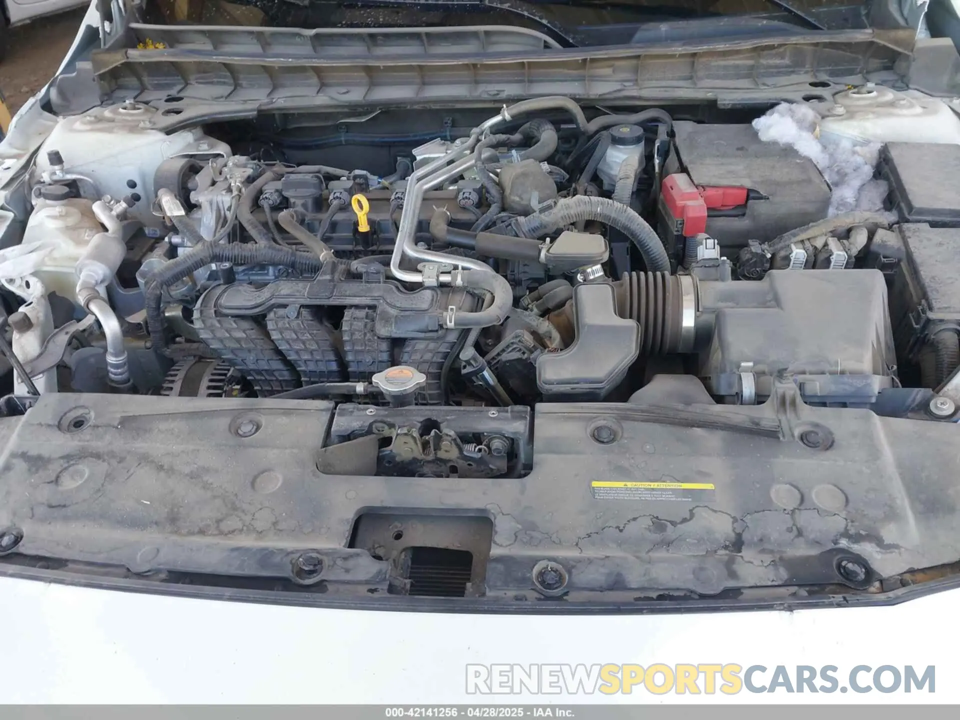 10 Photograph of a damaged car 1N4BL4DV1MN409362 NISSAN ALTIMA 2021