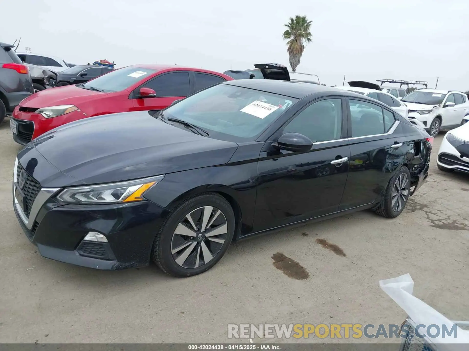 14 Photograph of a damaged car 1N4BL4DV3MN306024 NISSAN ALTIMA 2021