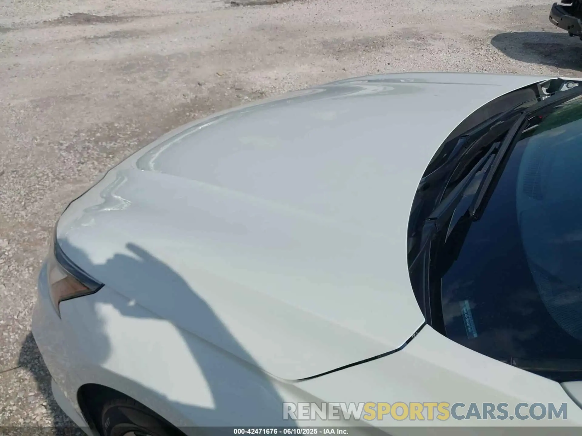 6 Photograph of a damaged car 1N4BL4DV5MN381985 NISSAN ALTIMA 2021