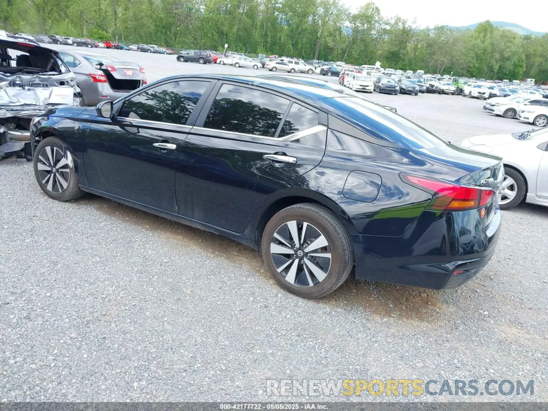 3 Photograph of a damaged car 1N4BL4DV6MN411057 NISSAN ALTIMA 2021