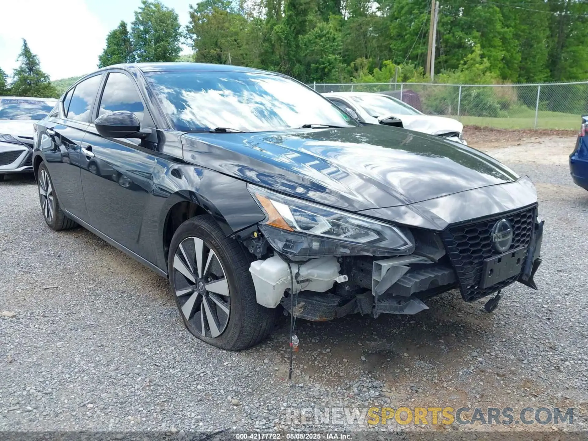 6 Photograph of a damaged car 1N4BL4DV6MN411057 NISSAN ALTIMA 2021