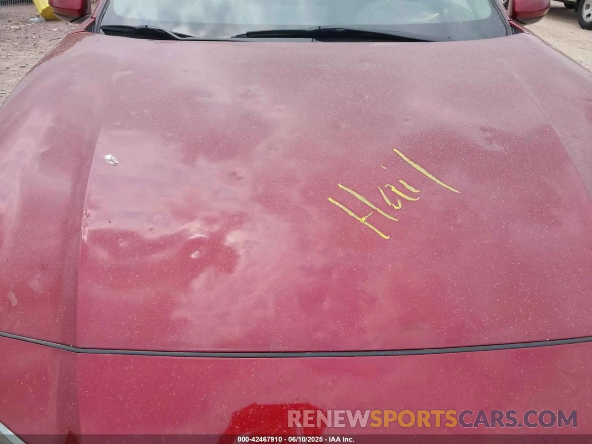 6 Photograph of a damaged car 1N4BL4DV7MN319178 NISSAN ALTIMA 2021