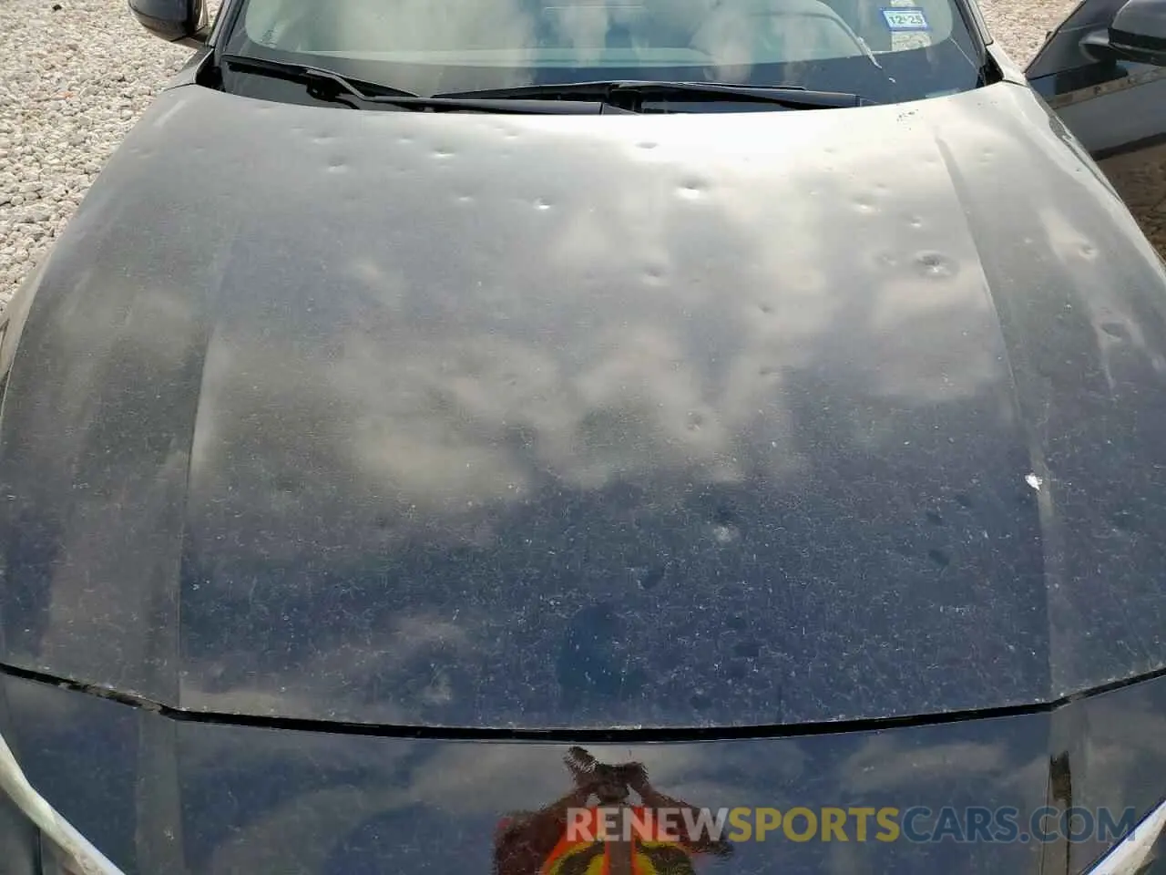 11 Photograph of a damaged car 1N4BL4DV7MN410287 NISSAN ALTIMA 2021