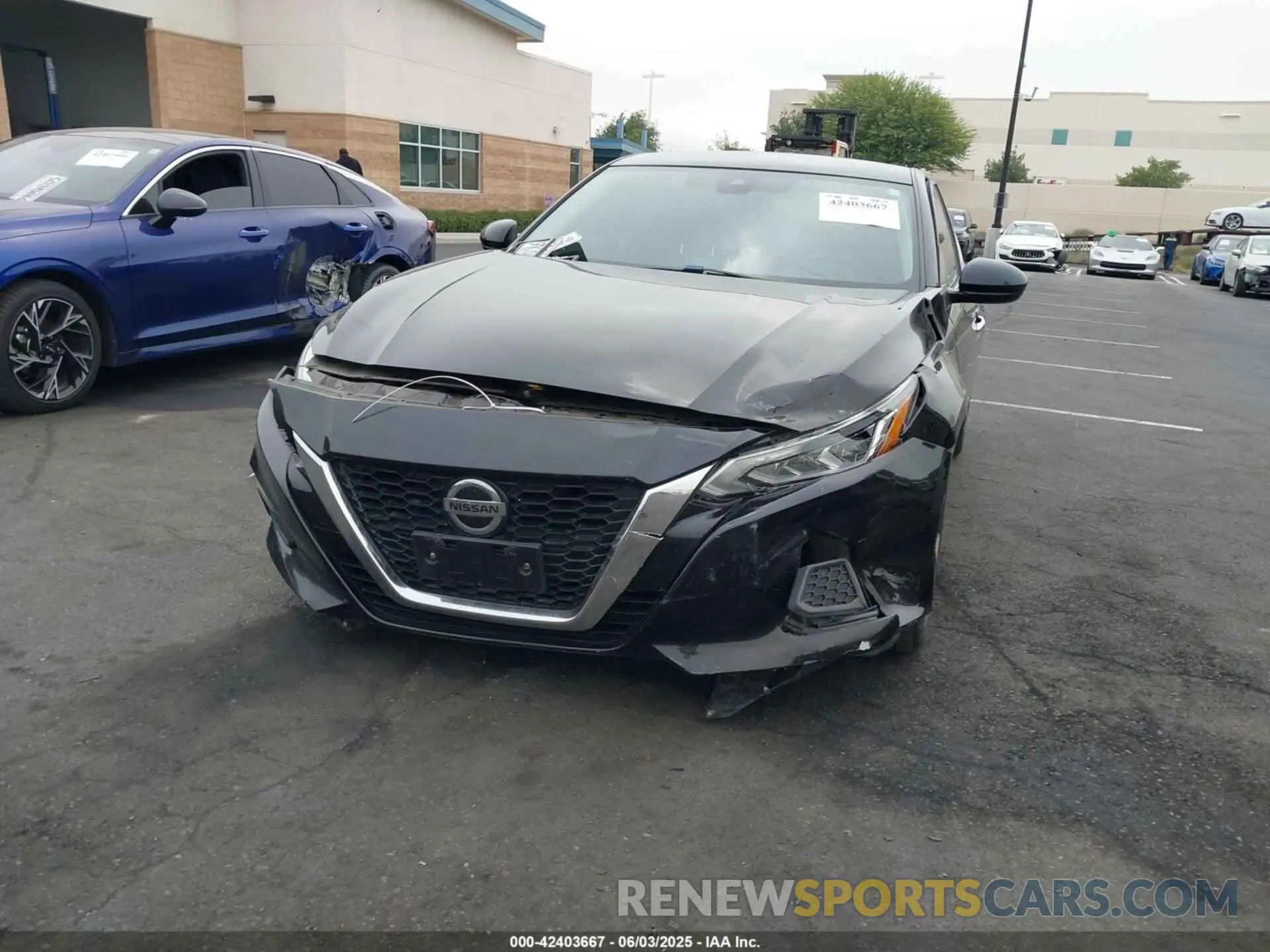 6 Photograph of a damaged car 1N4BL4DV8MN360452 NISSAN ALTIMA 2021