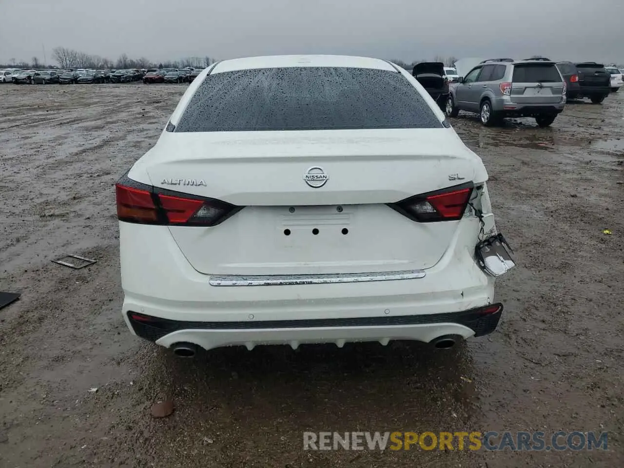 6 Photograph of a damaged car 1N4BL4EV3MN363631 NISSAN ALTIMA 2021