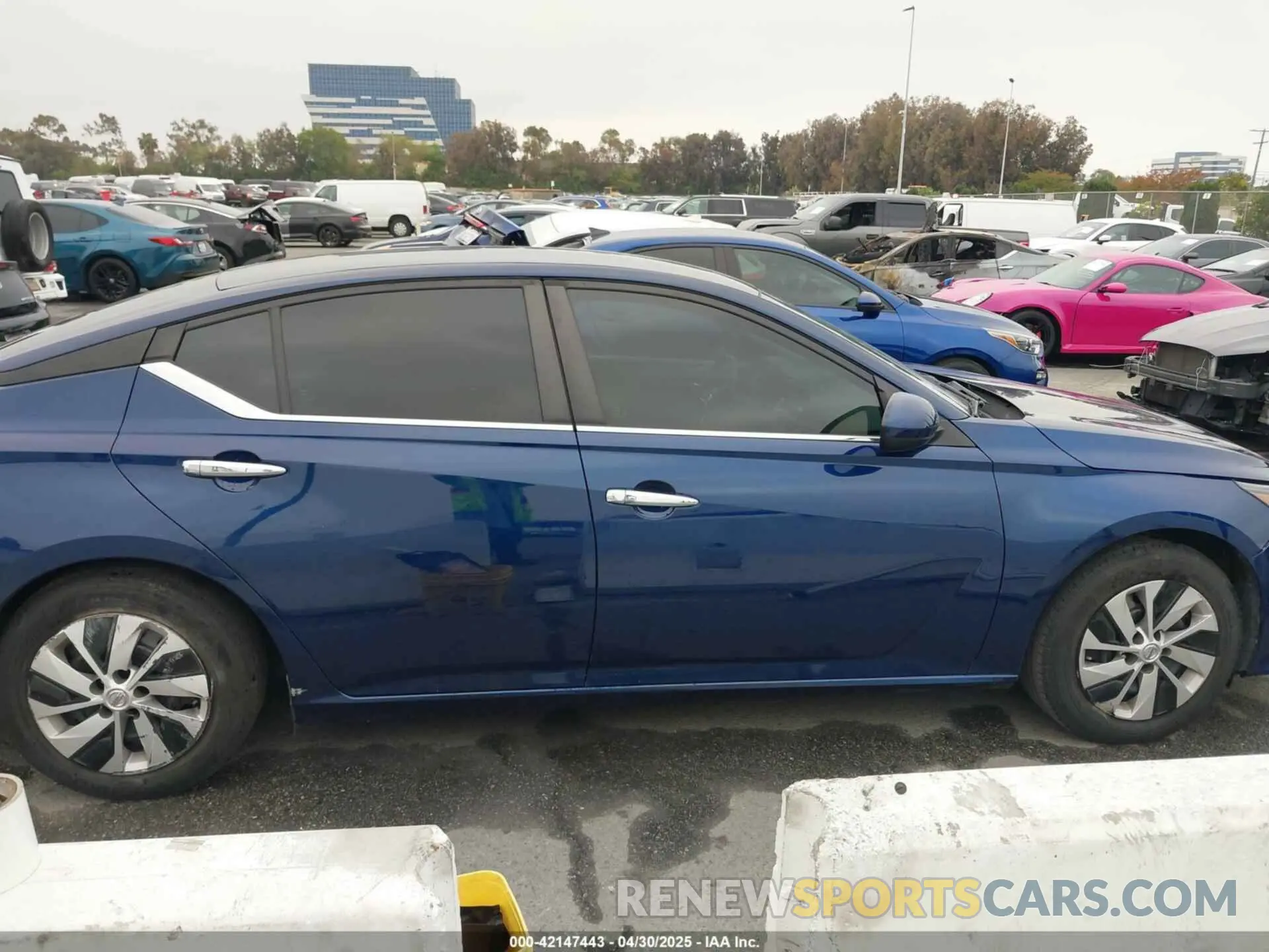 13 Photograph of a damaged car 1N4BL4BV0NN397662 NISSAN ALTIMA 2022