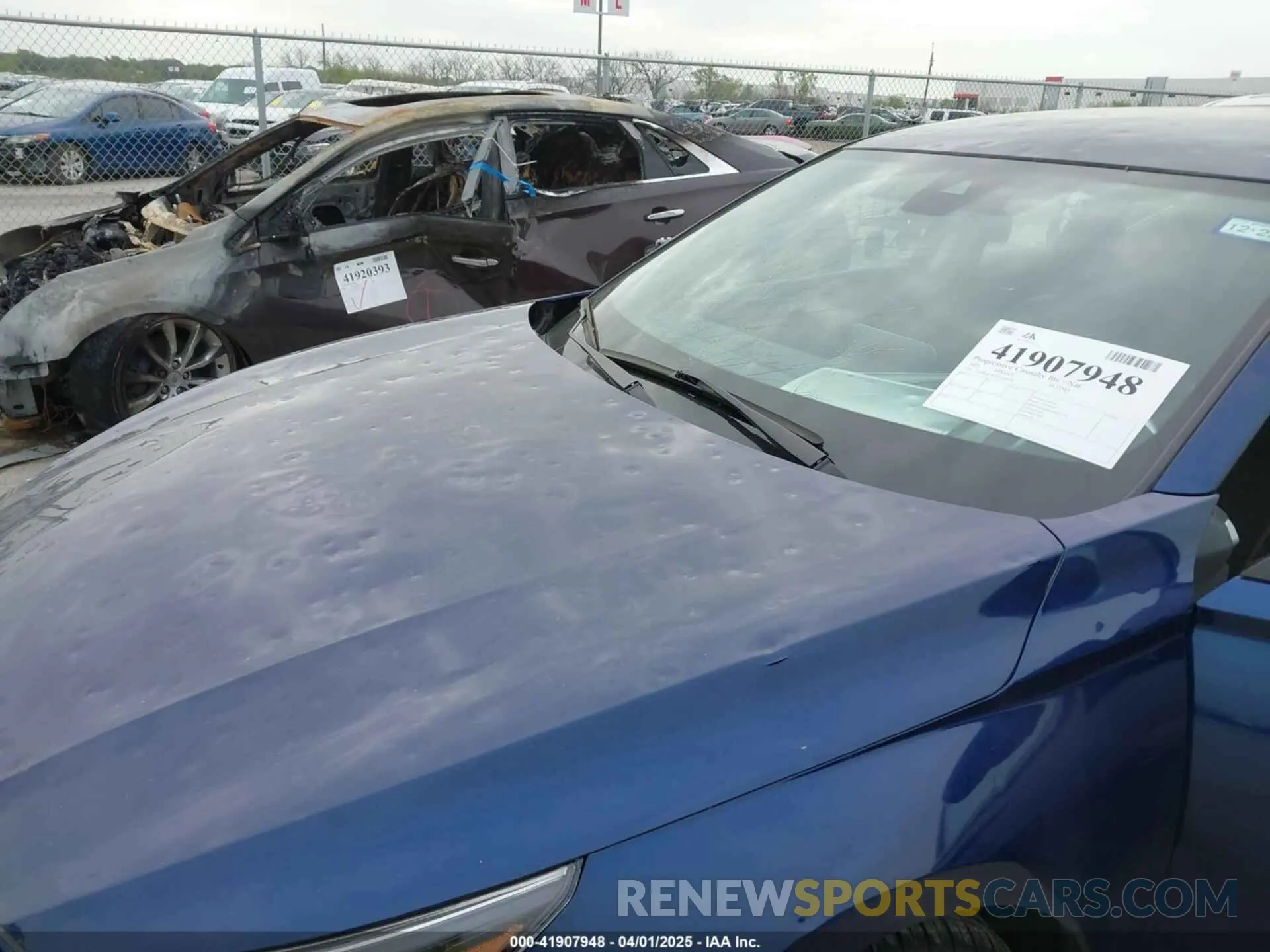 6 Photograph of a damaged car 1N4BL4CW5NN308921 NISSAN ALTIMA 2022