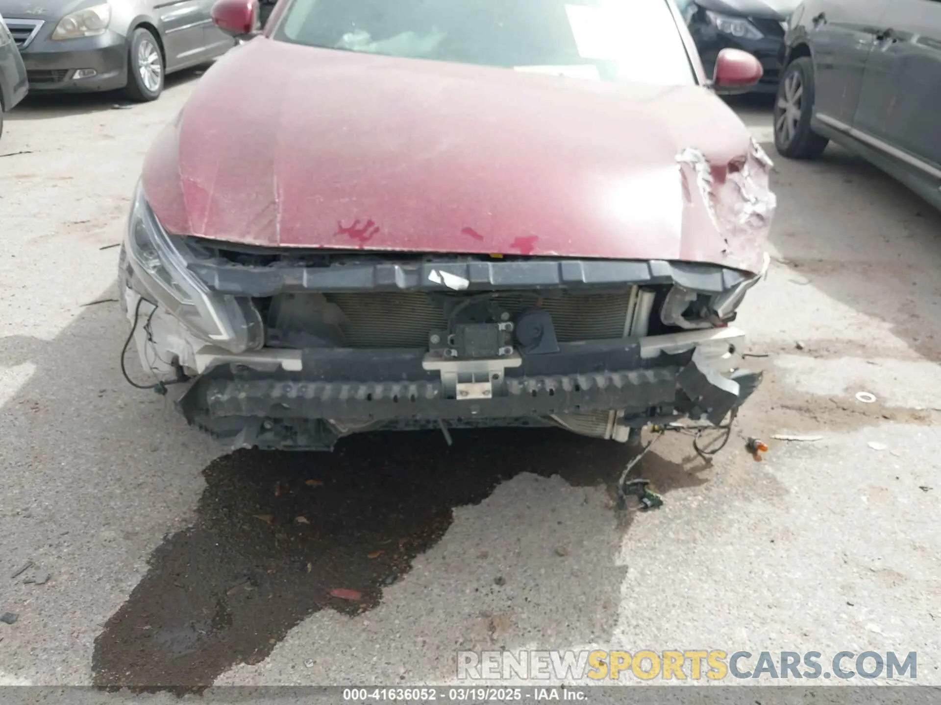 6 Photograph of a damaged car 1N4BL4DV0NN316348 NISSAN ALTIMA 2022