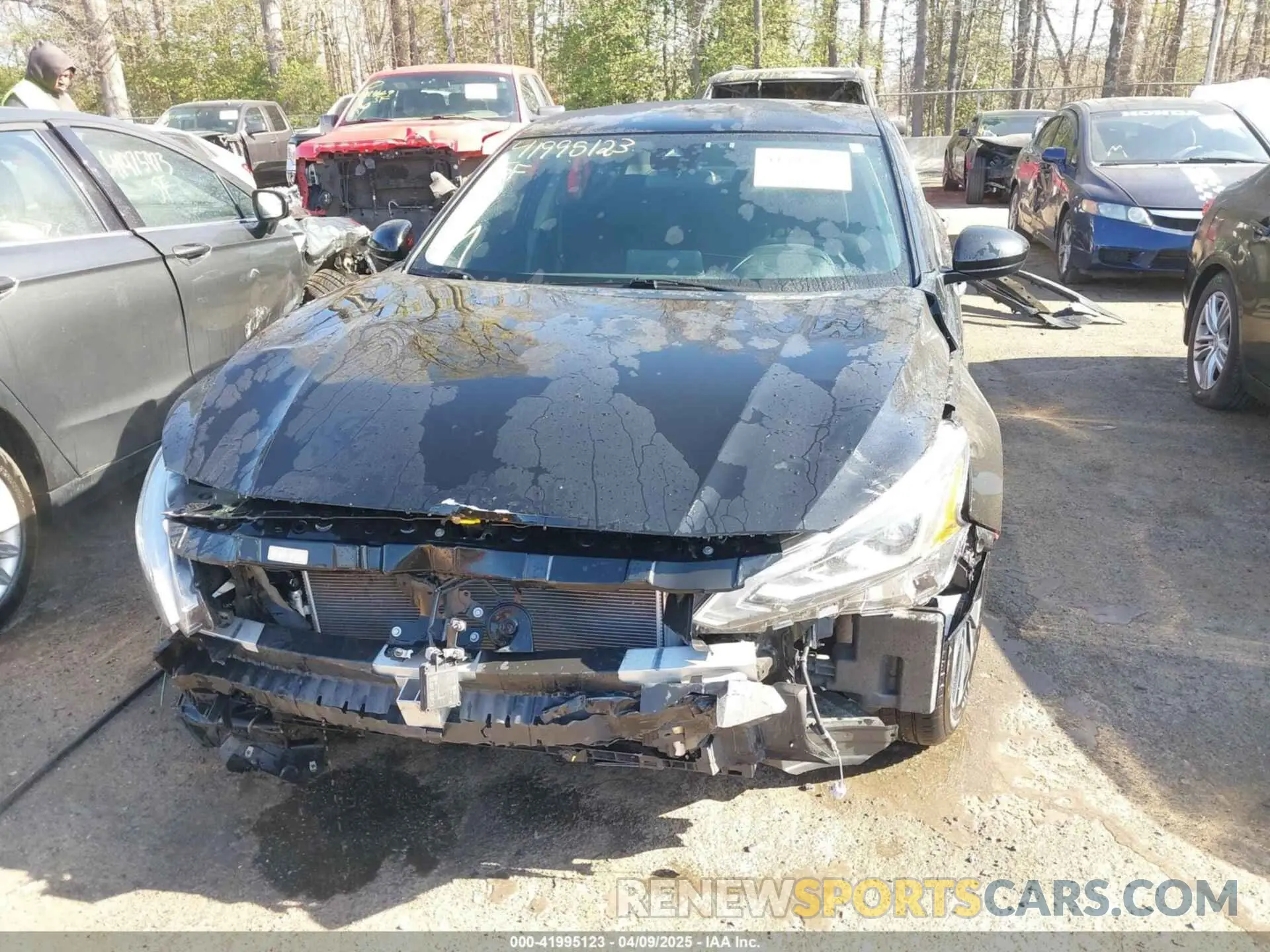 6 Photograph of a damaged car 1N4BL4DV3NN321477 NISSAN ALTIMA 2022