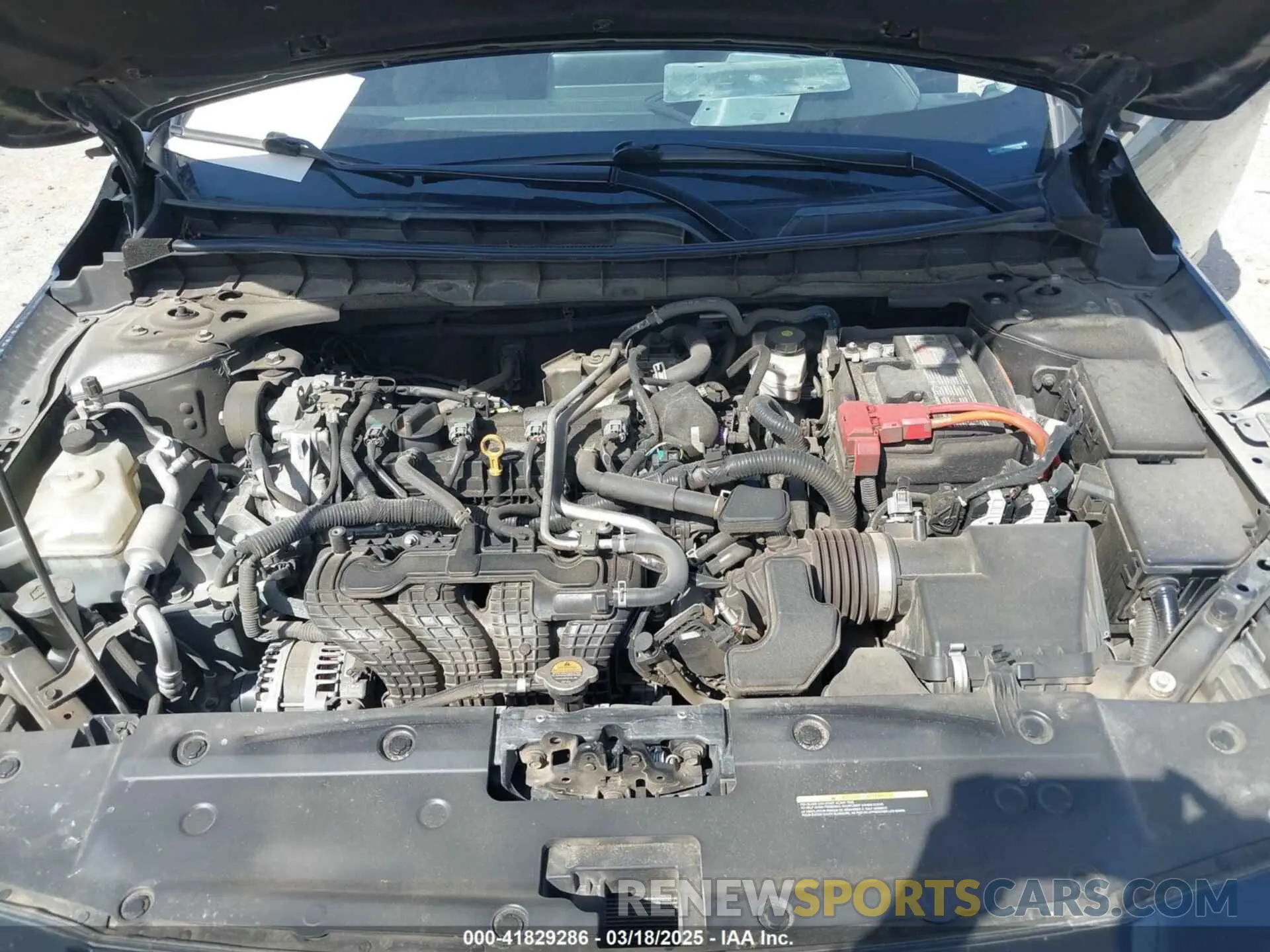 10 Photograph of a damaged car 1N4BL4DV1PN318399 NISSAN ALTIMA 2023