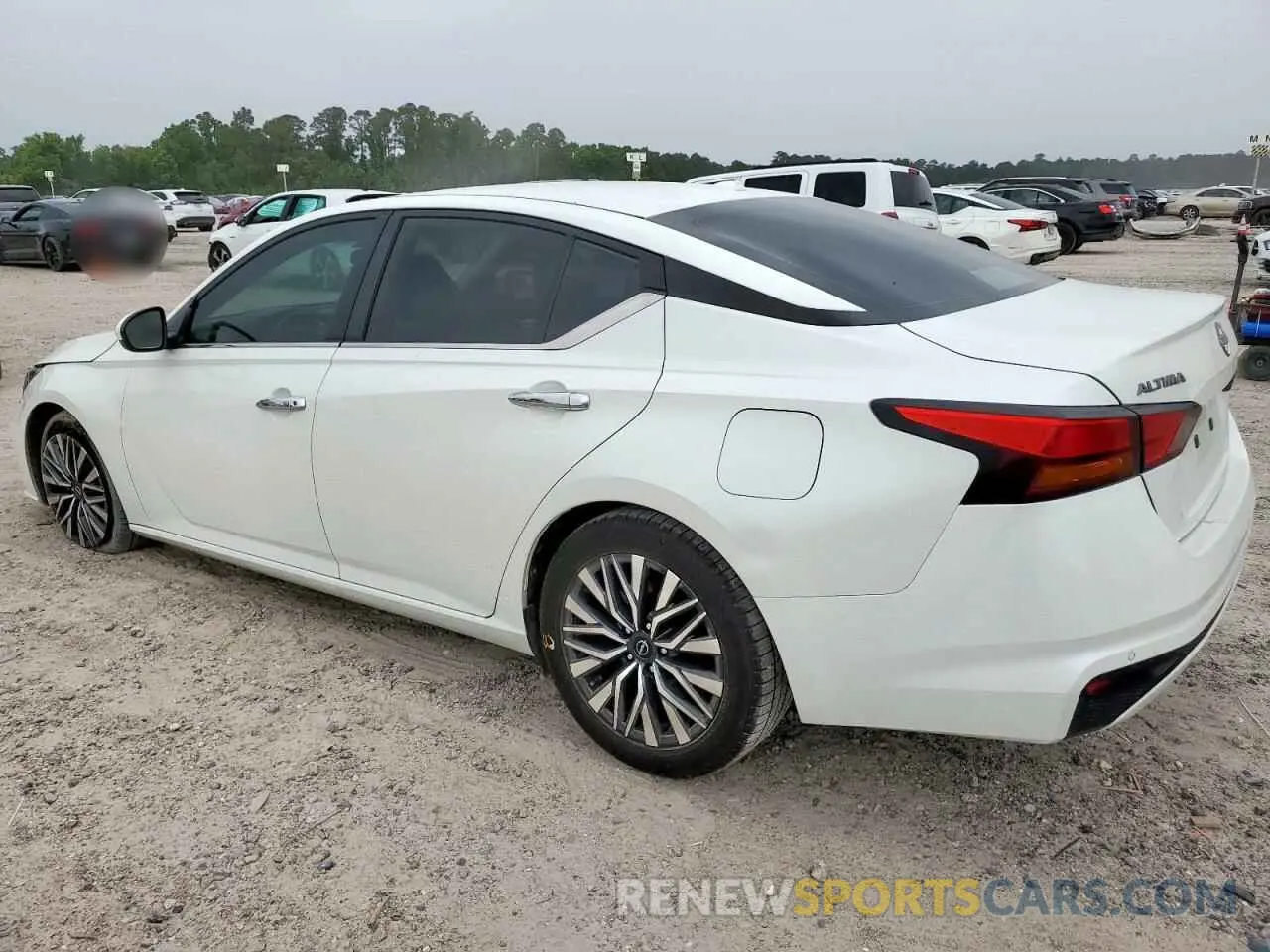 2 Photograph of a damaged car 1N4BL4DV6PN369025 NISSAN ALTIMA 2023